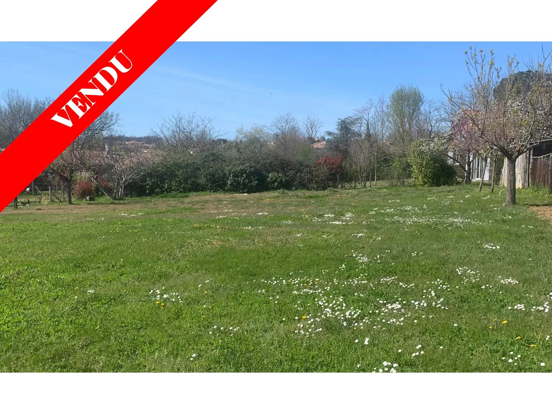 676b5daed5026fd218e46967daa67667_35dc8a228a_1920-original-67361