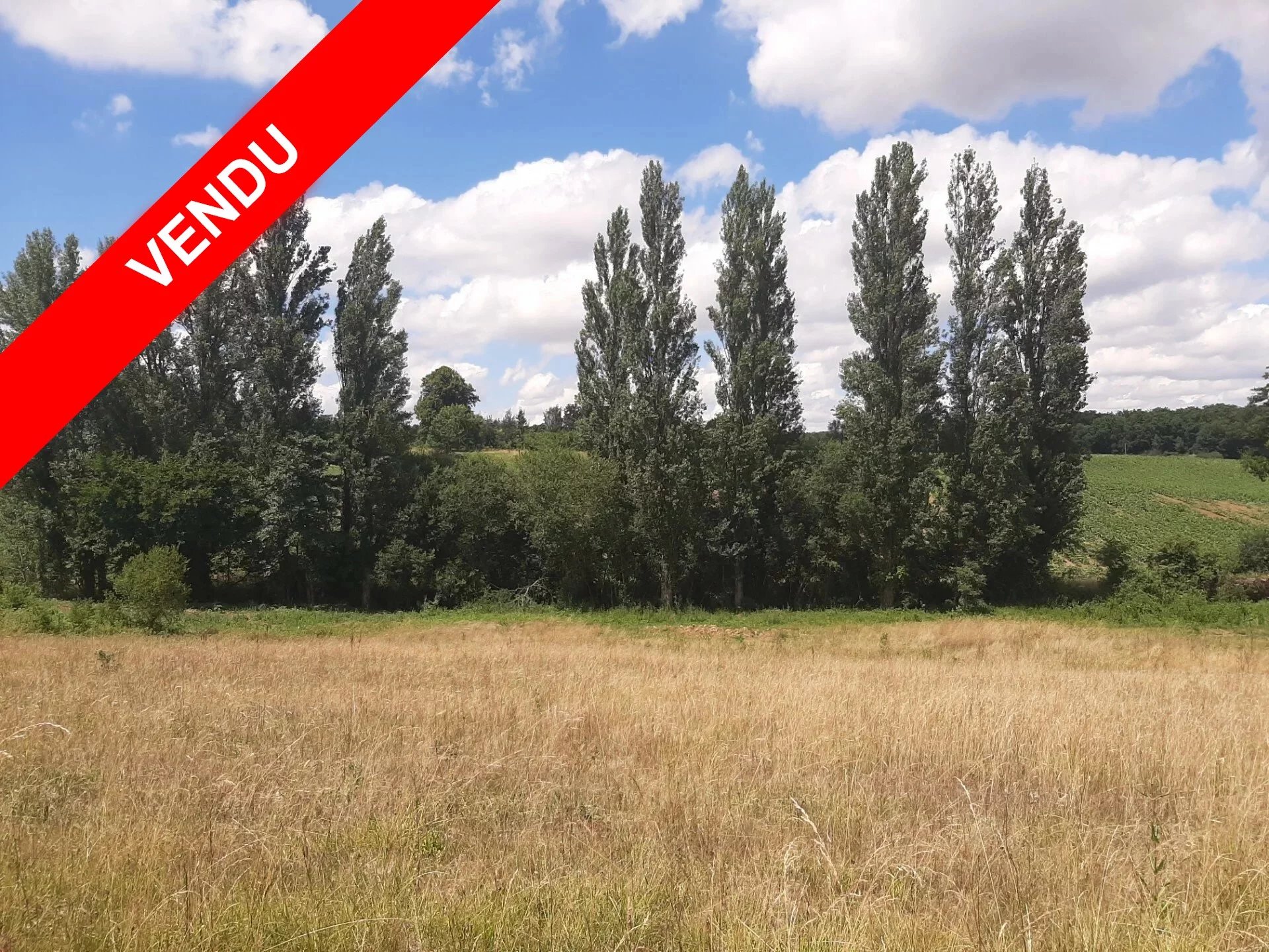 b01933526a8ff6d41605fec7e93d8809_abfeaba766_1920-original-67110