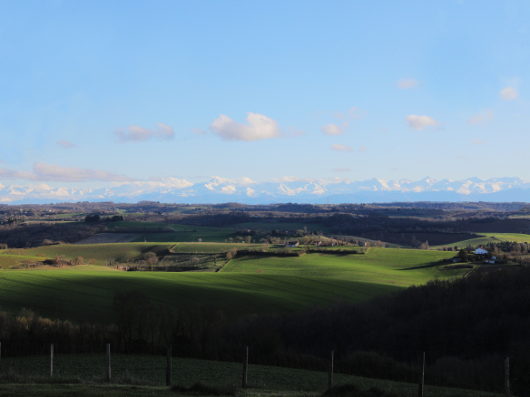 Immo Pro - L'agence d'Occitanie - Paysage Pyrénées