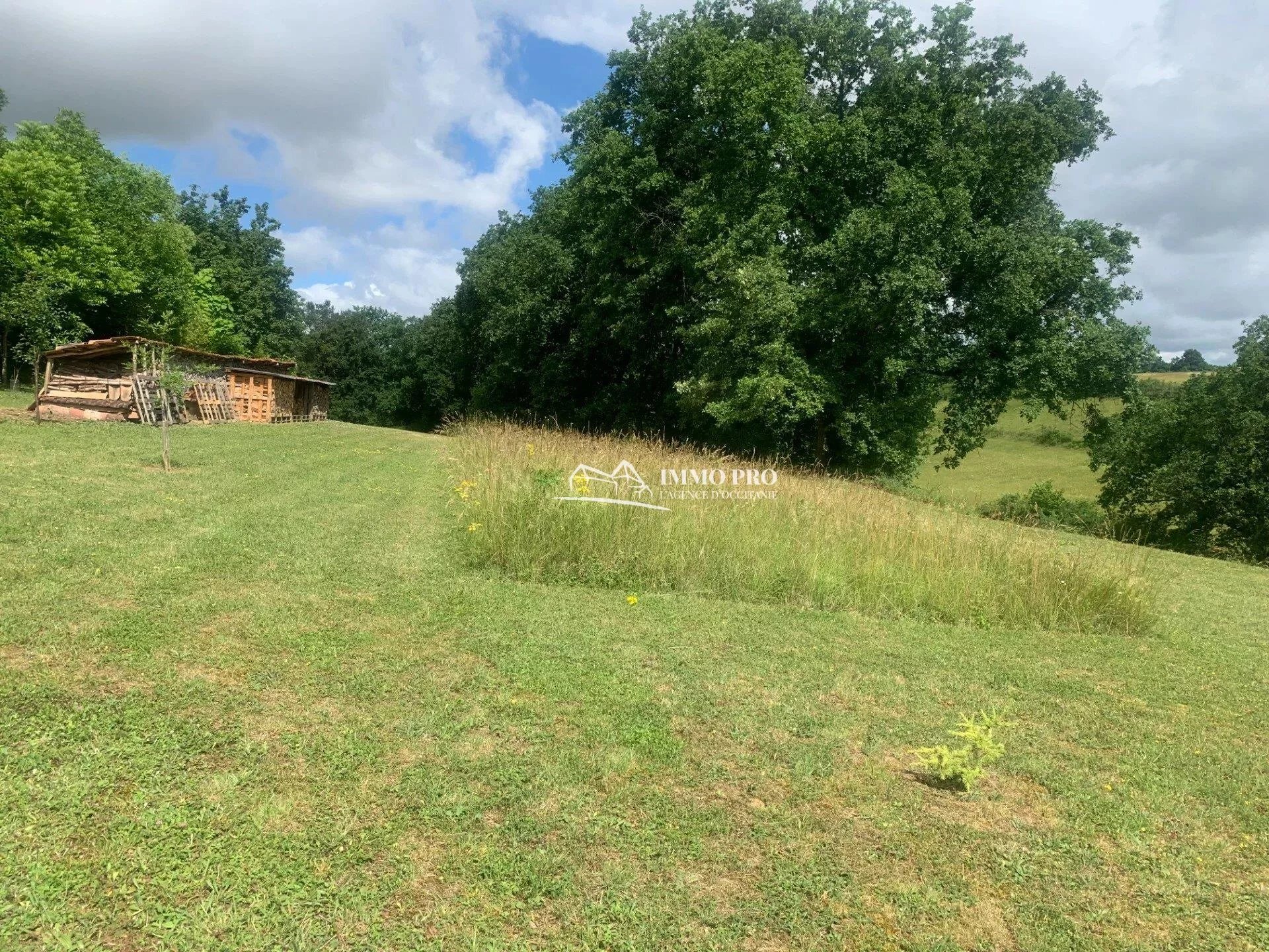 cfe0e35358abfb9acc8a5b372486e1ae_70076dab4d_1920-original-66422