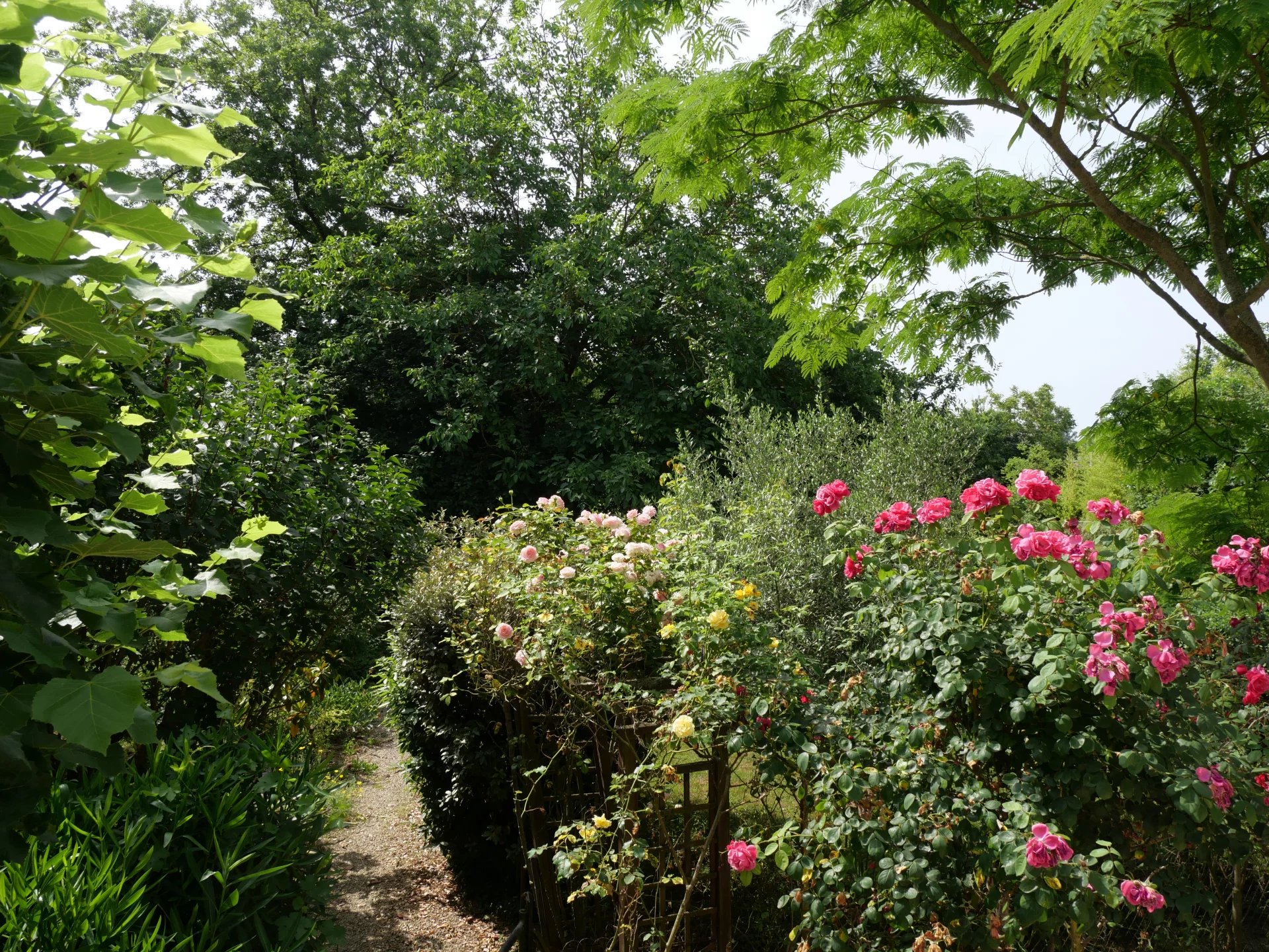 255cef5acac8e04f6bbca29c32a18db4_9c7d230b9c_1920-original-68009