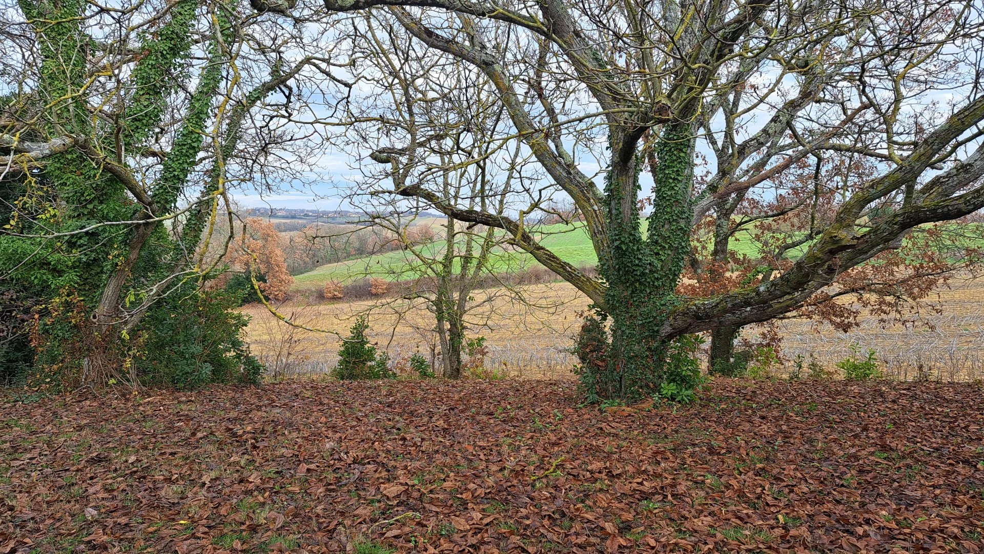 63e13435ad247bba4371624c6bf50f8b_3b91467d82_1920-original-66926