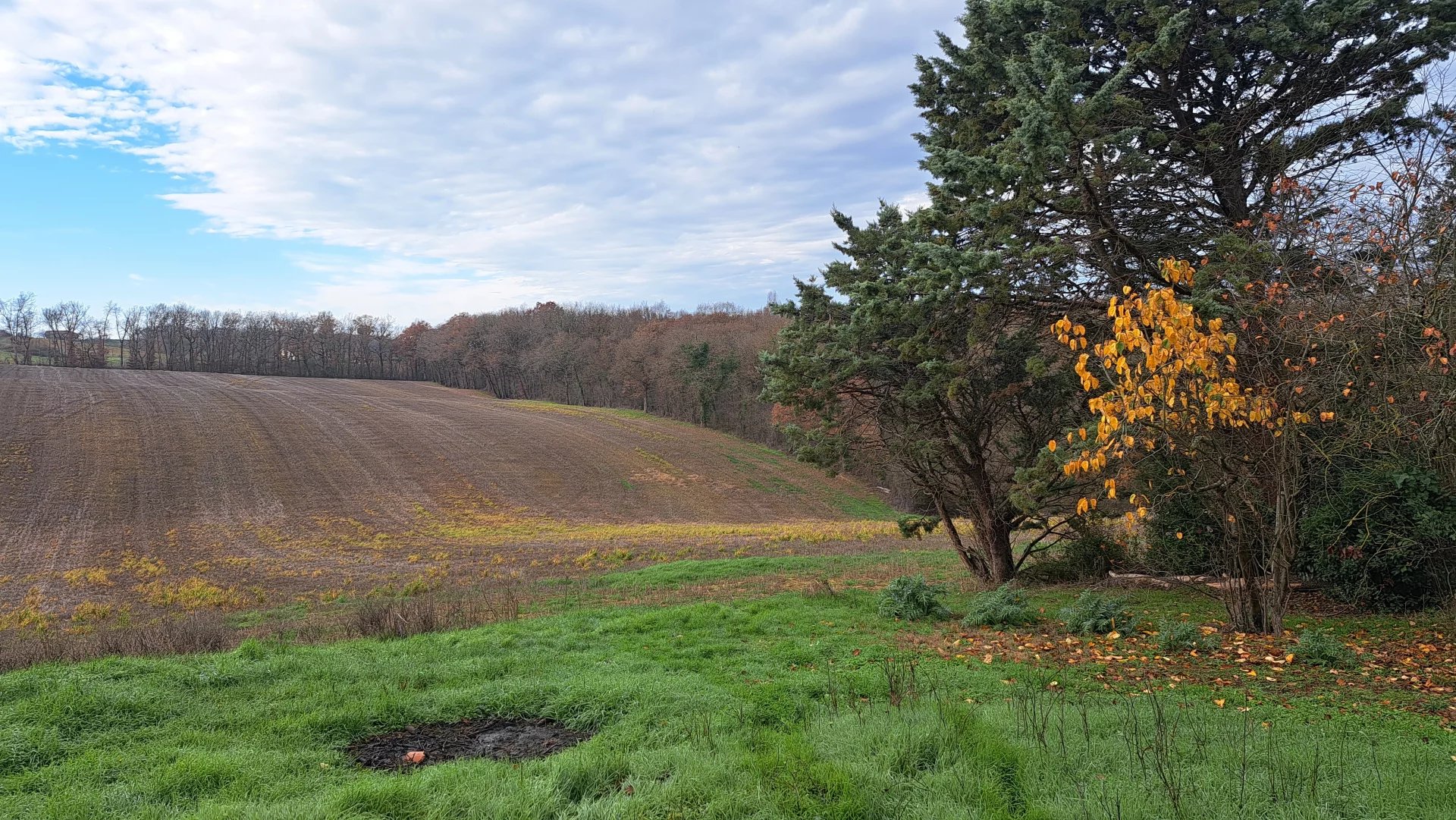 7025e64fee54a6d08518da945c4e6ee6_a10b25f531_1920-original-66926