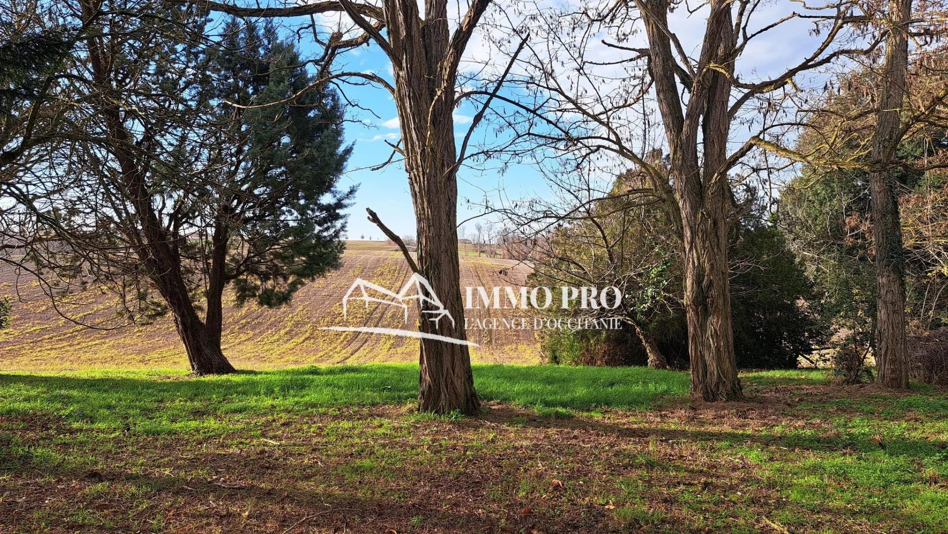 96a9b87a99a8fdc03738956d9c0557a9_d35c09b10e_1920-original-66926