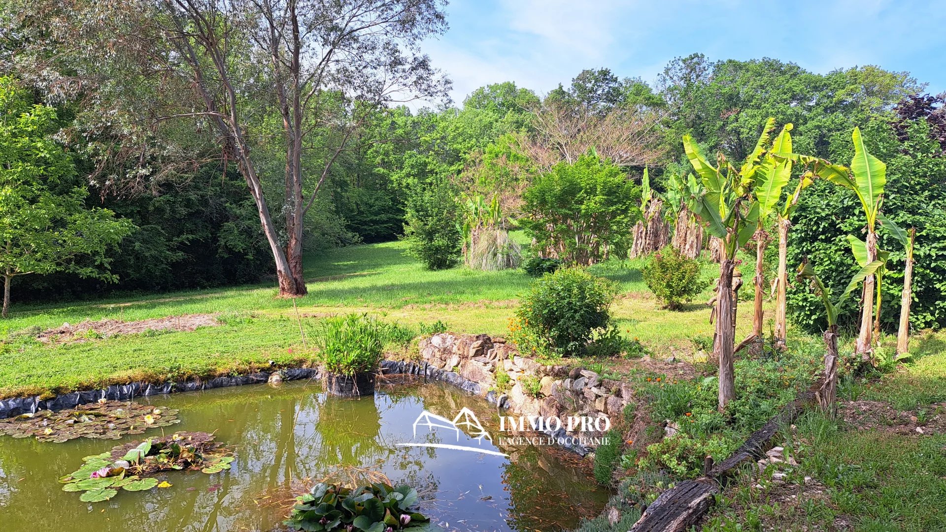 b43a7ead35f2c95b19e1437cee2c7fa0_6c1f292f6e_1920-original-66972