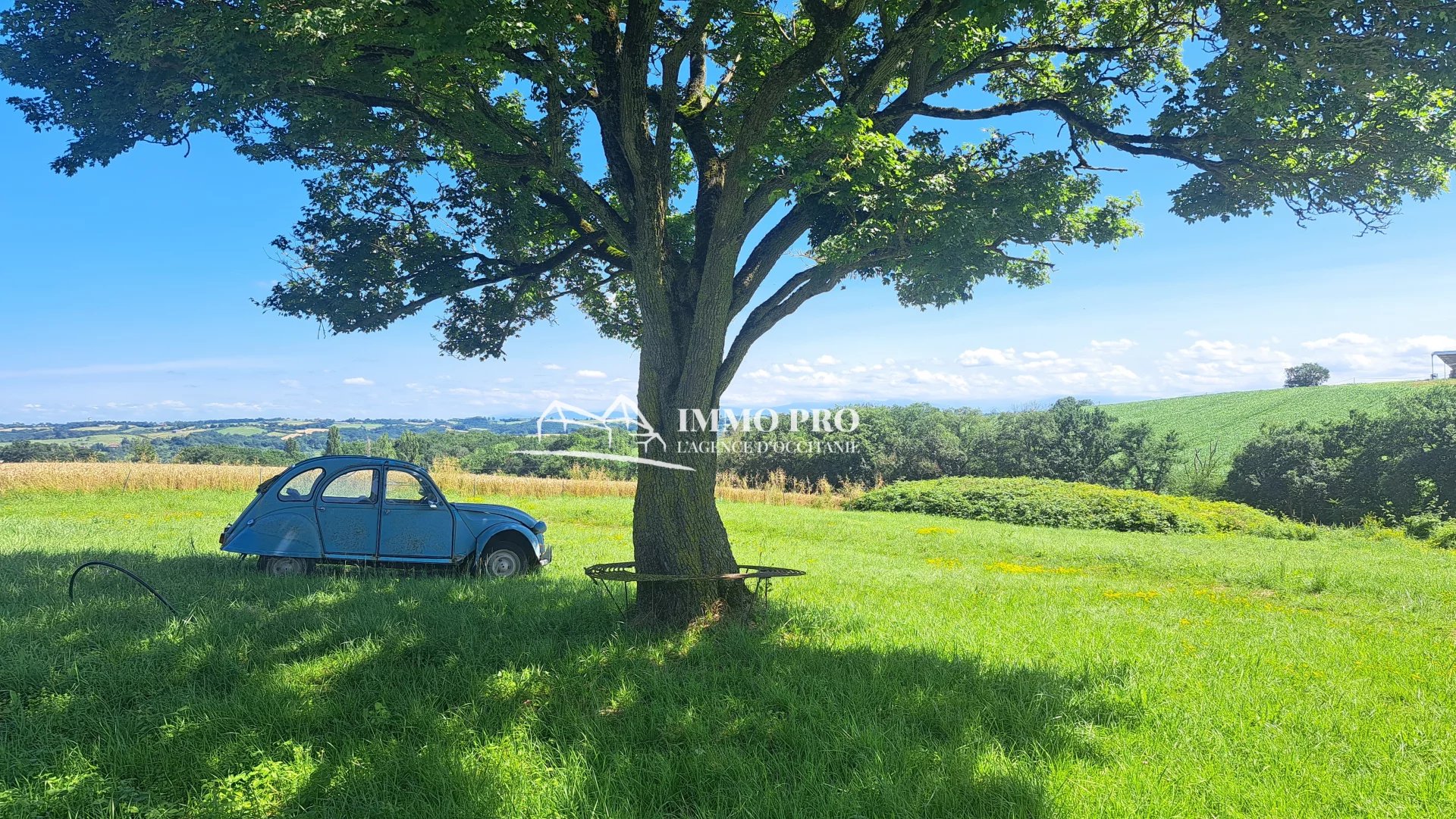 4f61c7d8a772544ff5f3e968e5762792_dedc80db39_1920-original-66842