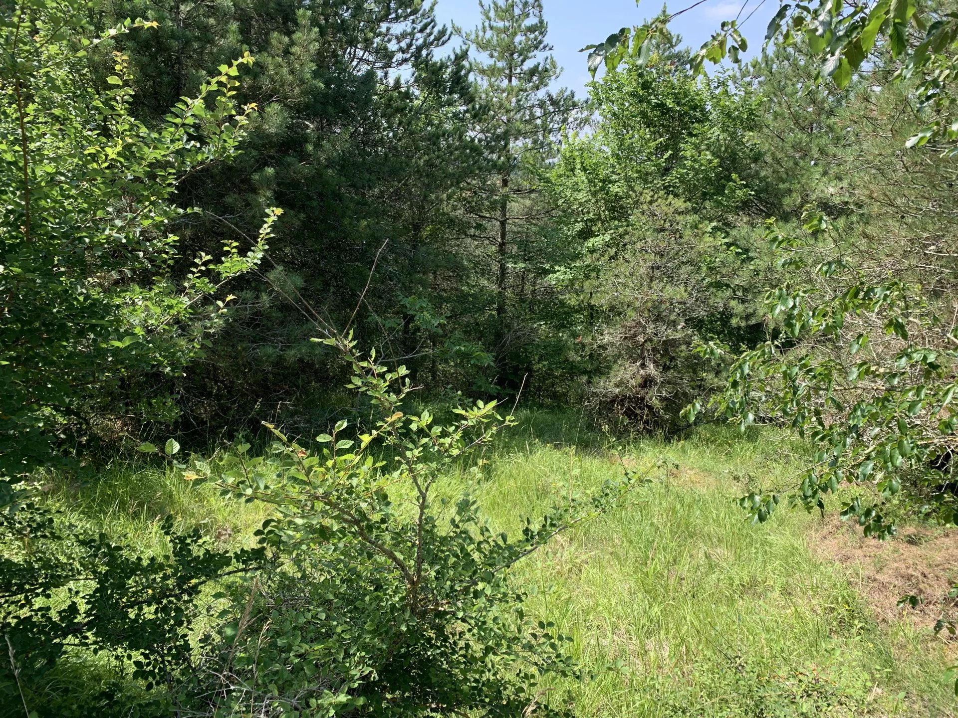 0960df4f4e7d0cfc8896c2fe94365ca6_ddd7caab32_1920-original-66618