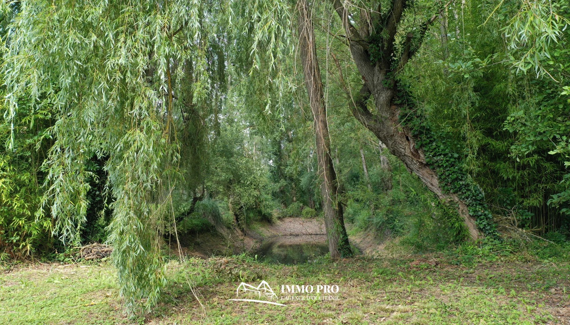 3cb7c74f73a10d52d1b13bbbd148d99e_2e2a603dd8_1920-original-67158