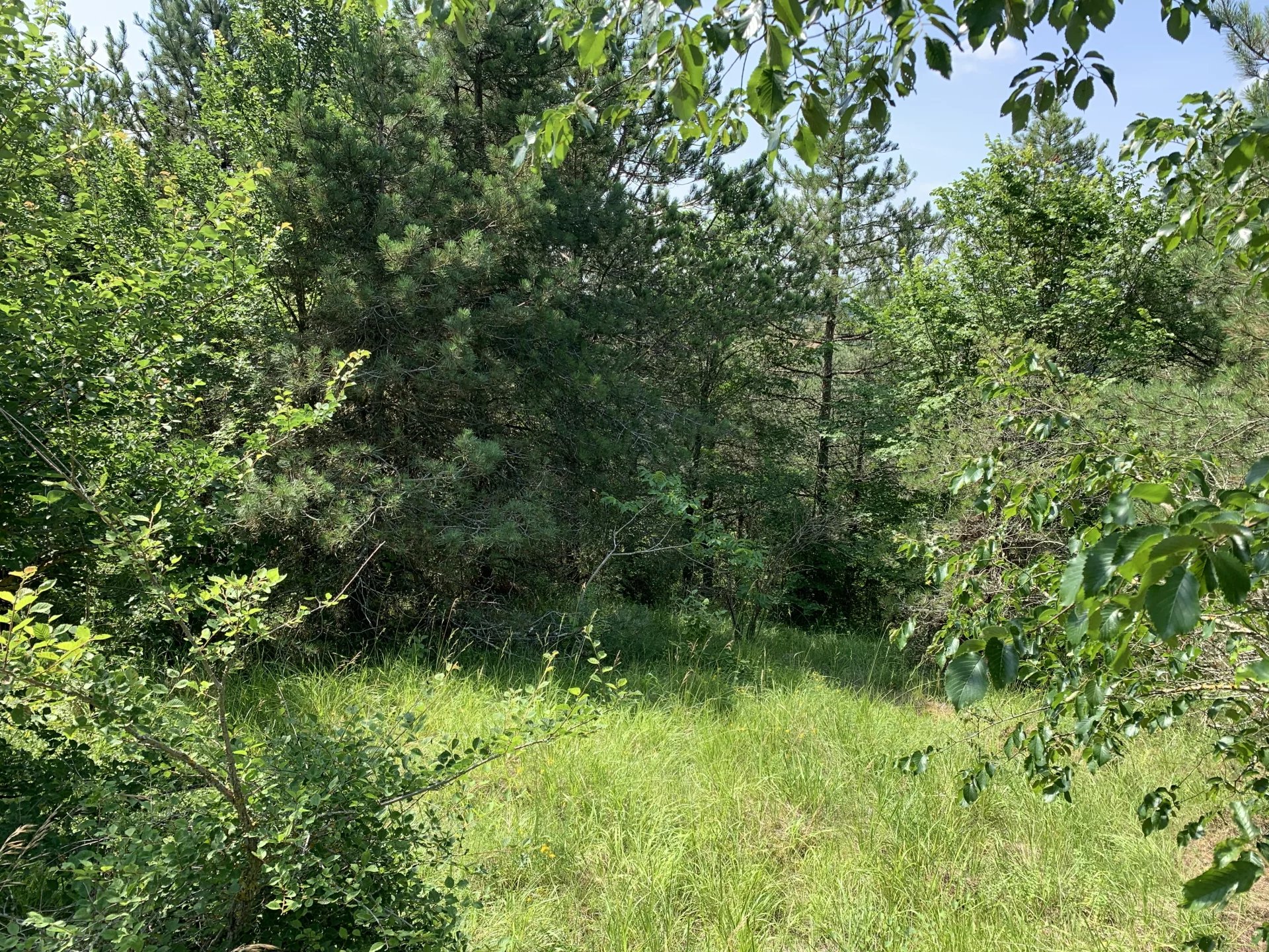 6f11aca6d051db98fa0714f020d72771_a6321cd4e3_1920-original-66618