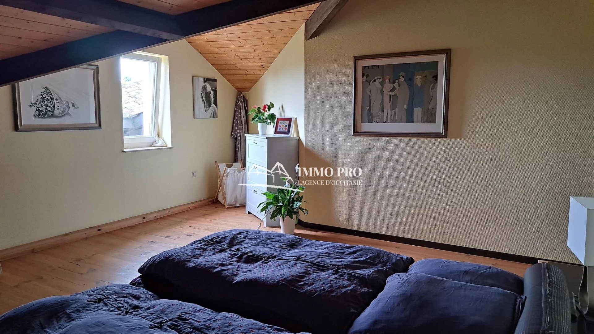 2197e2ade793049c4902e6bcacf4d6b6_33a3a60165_1920-original-69091