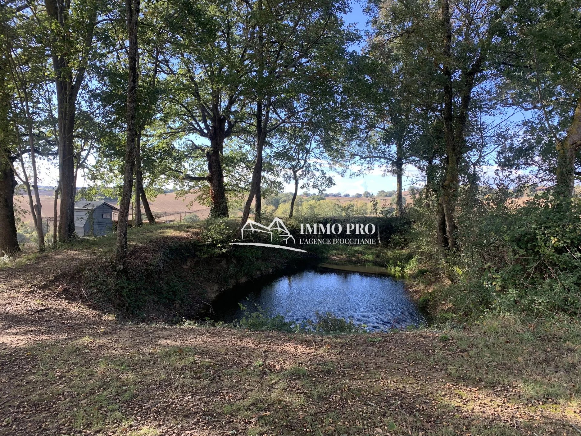 382d916a45a45be459126e5f5d19f1f5_9a89db4b8f_1920-original-67577