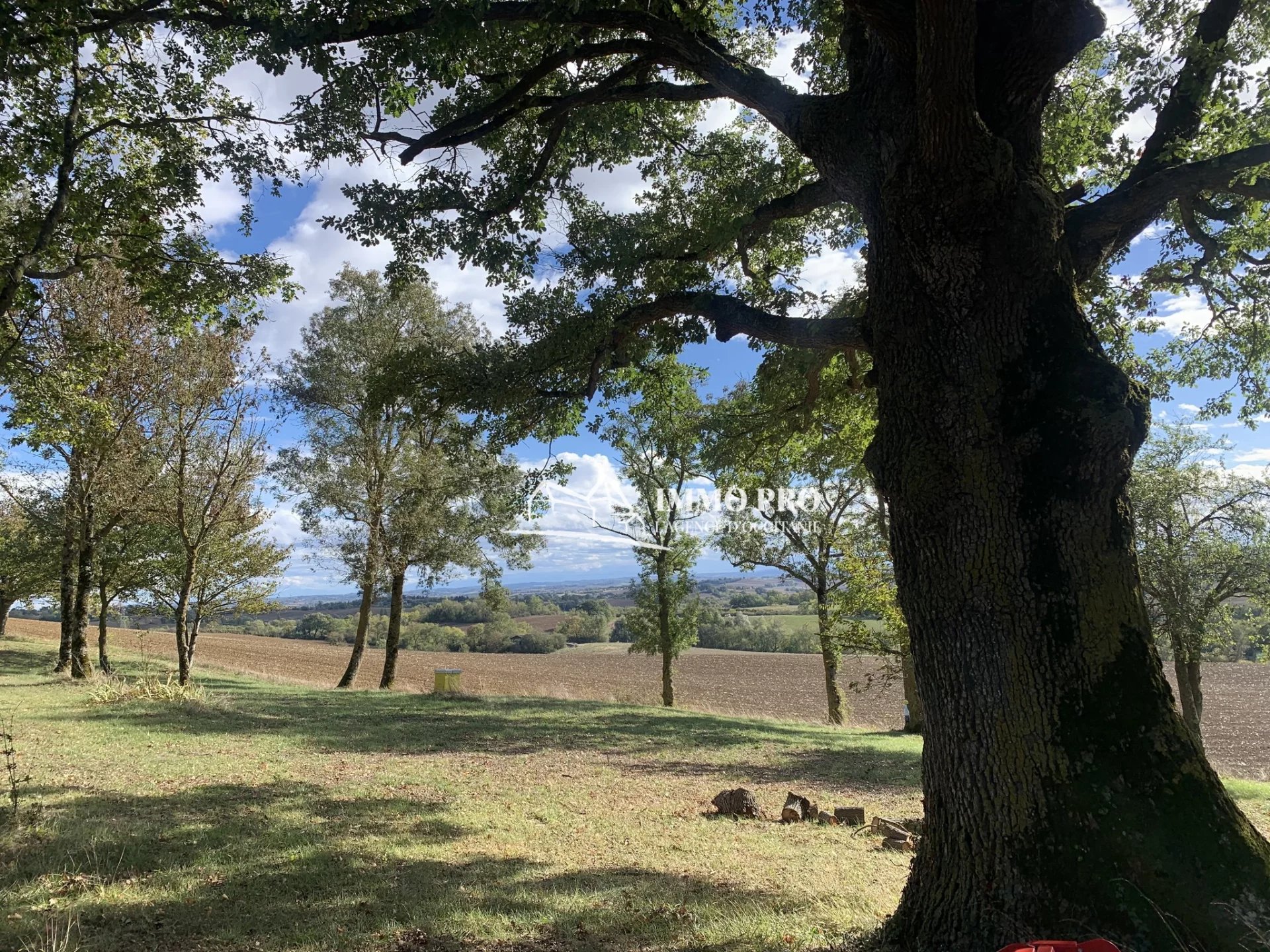 3fa78a4226edde0ff79e50348be842e4_c39212f44c_1920-original-67577