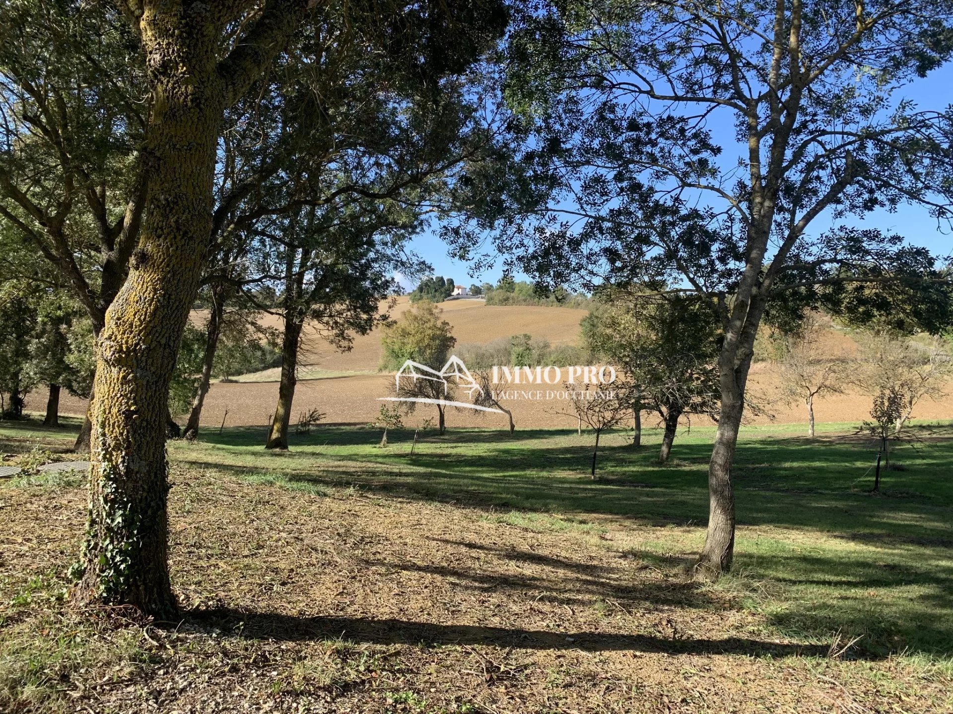 41f41bb101b0c73c38b596d1098d002b_98535c78c6_1920-original-67577