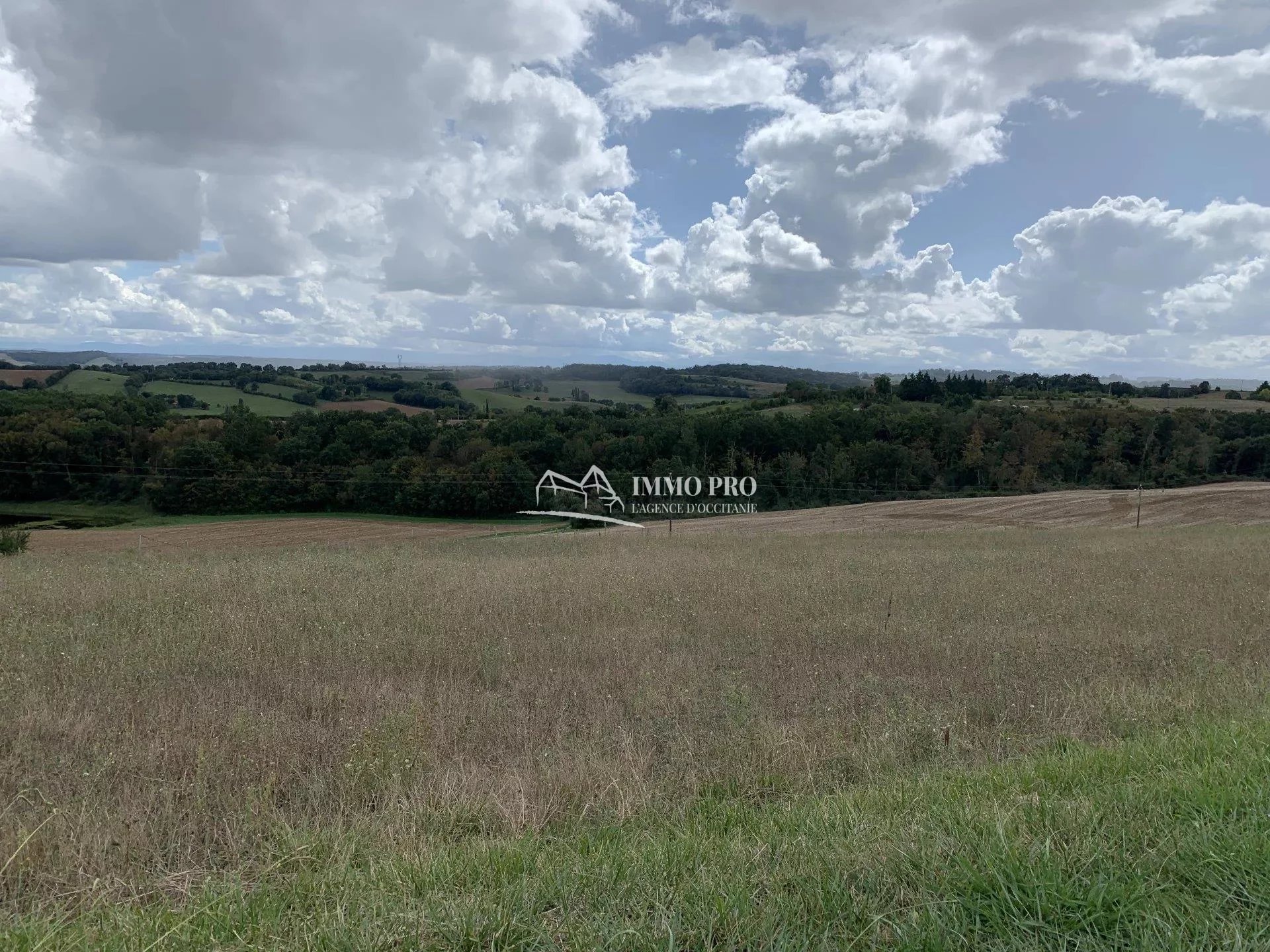 900d16e946680e4c0aaecc8b69b48f5e_cda31b2455_1920-original-68367