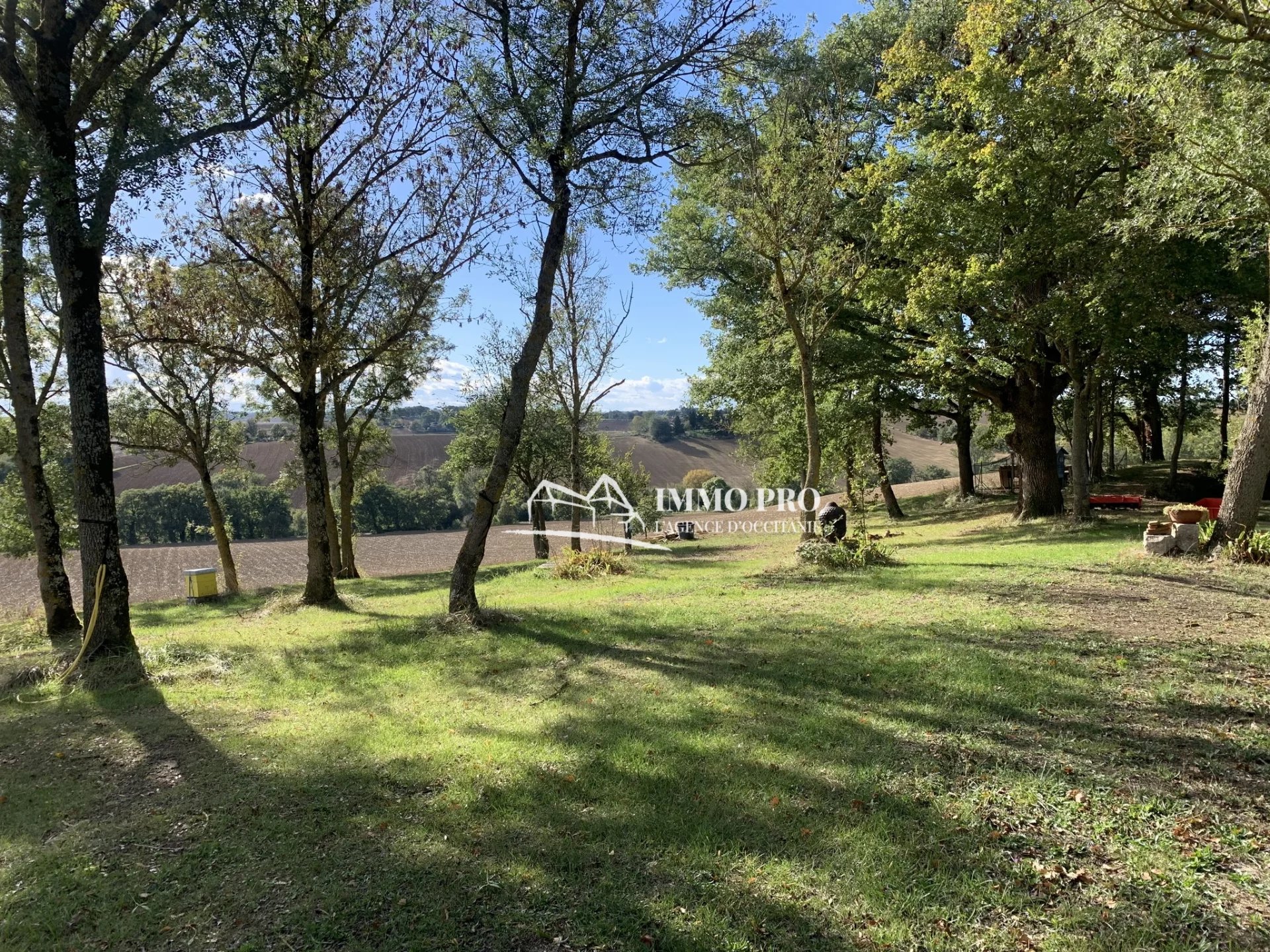 d824fac11b92fb29c2eb8714aa8348a2_de399c21ac_1920-original-67577