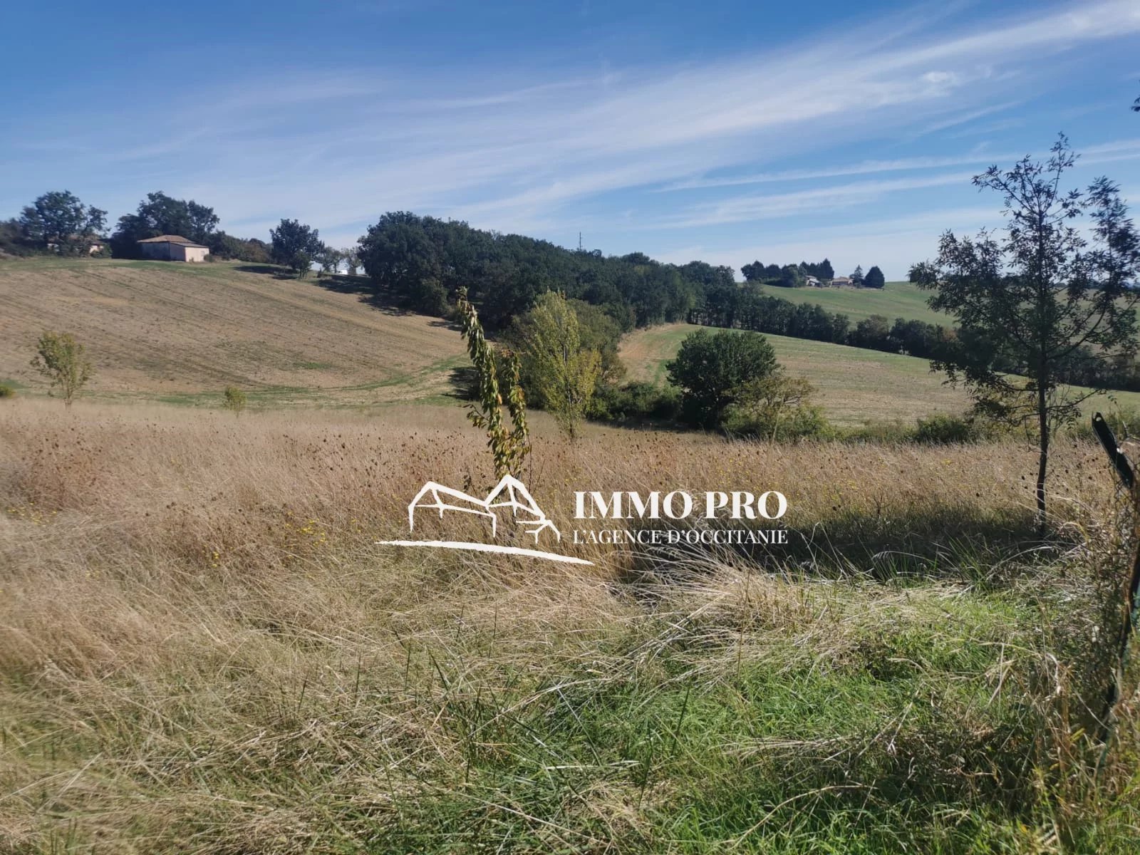 363fafd691d188bb9dff511c5adb4aef_647f37bb64_1600-original-66270