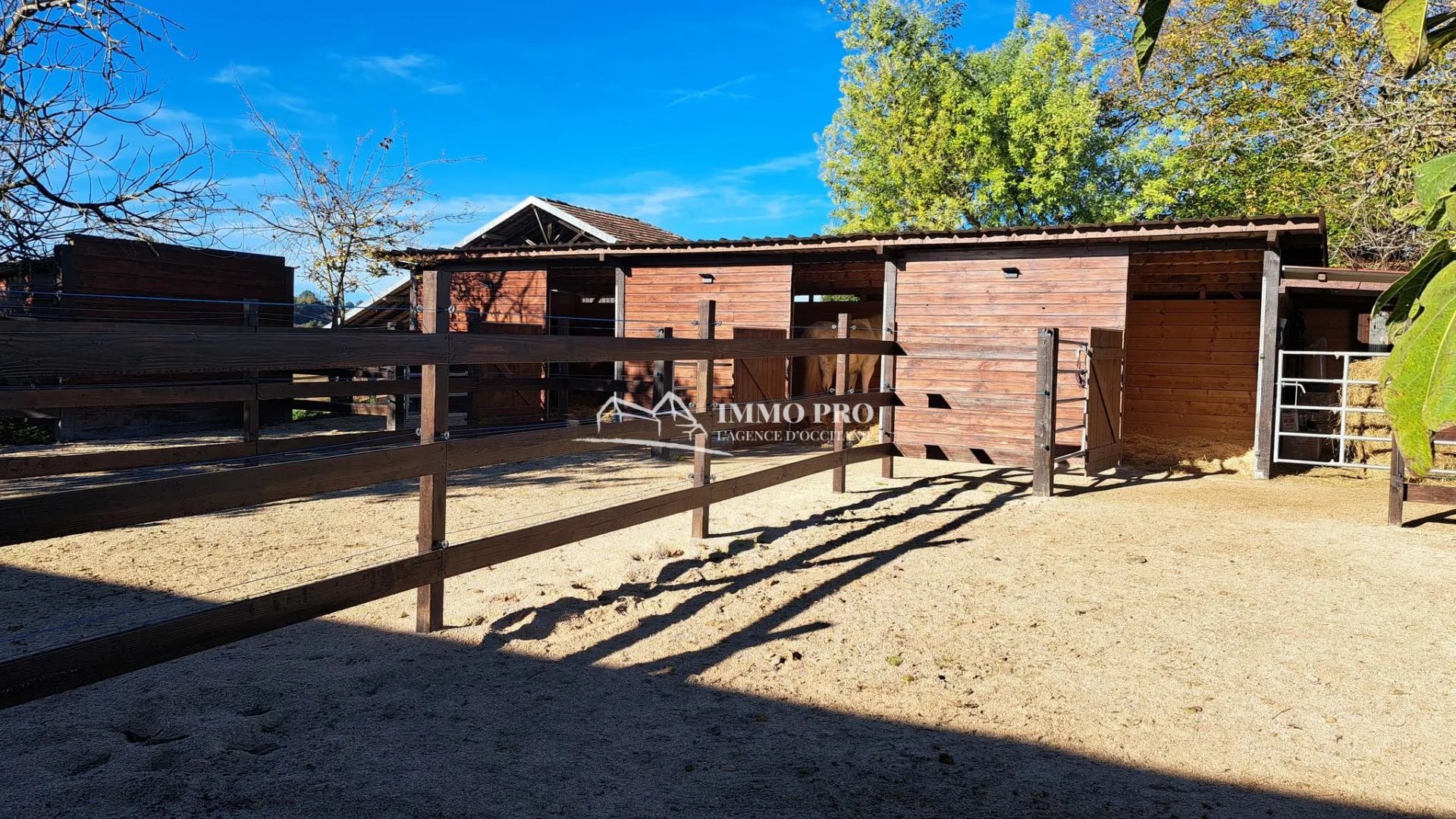 e8f10b618302137761ad4a5ea7778db1_d8ca94cce1_1920-original-67236