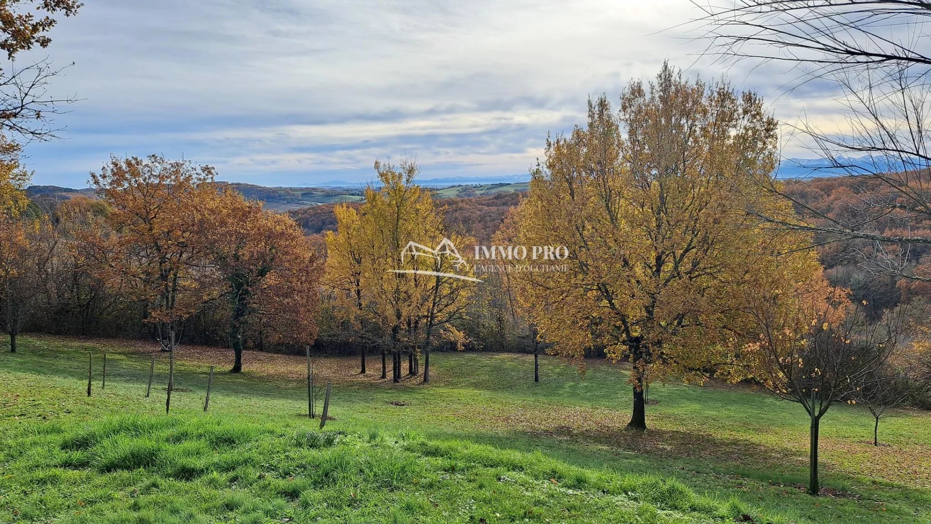 7a1c74dfdc91e639d0f168307f6ce7b3_9fb50621d3_1920-original-66726