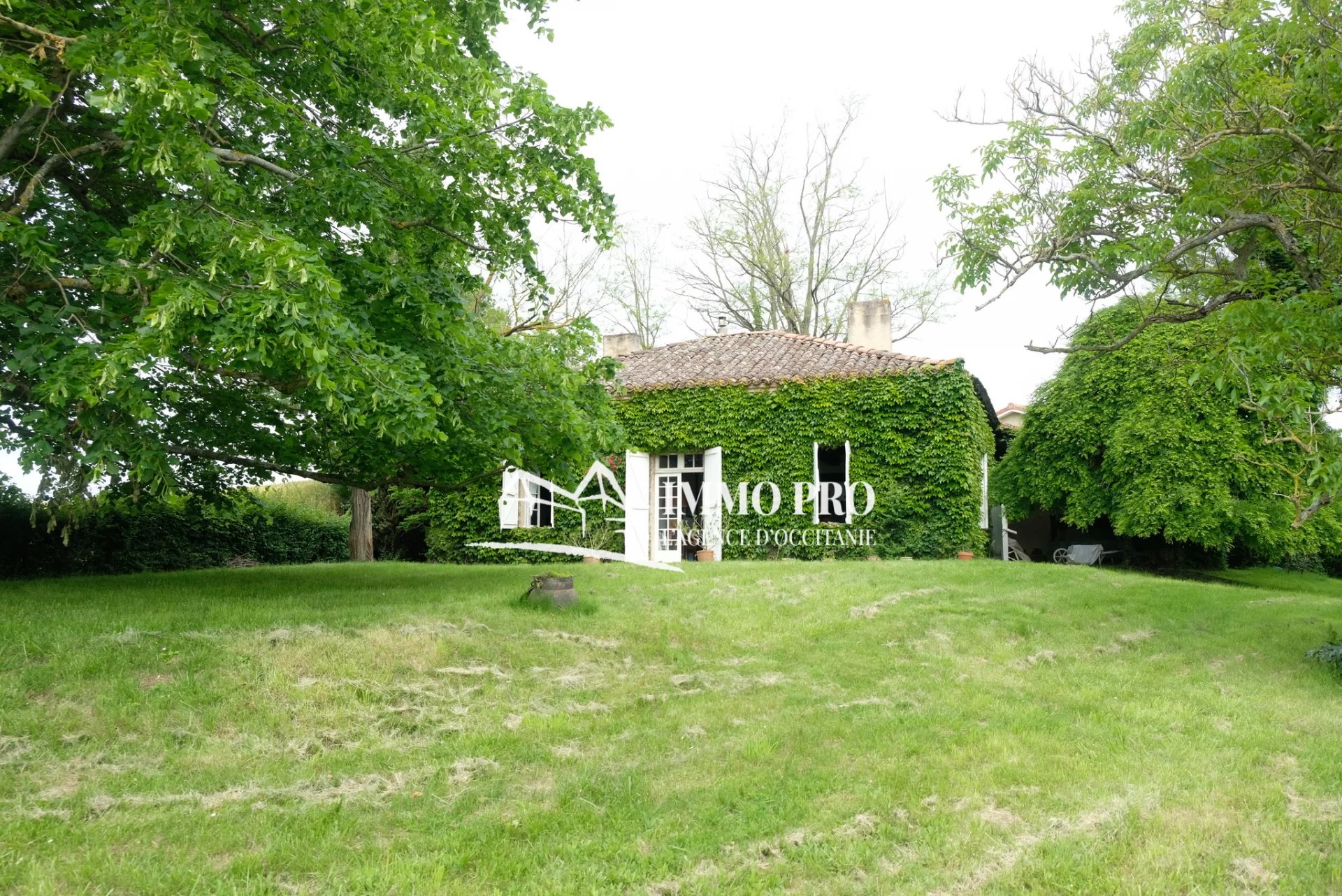 4233fc2a53b029b3c38ca1421d4b5849_1ef64e4385_1920-original-67385