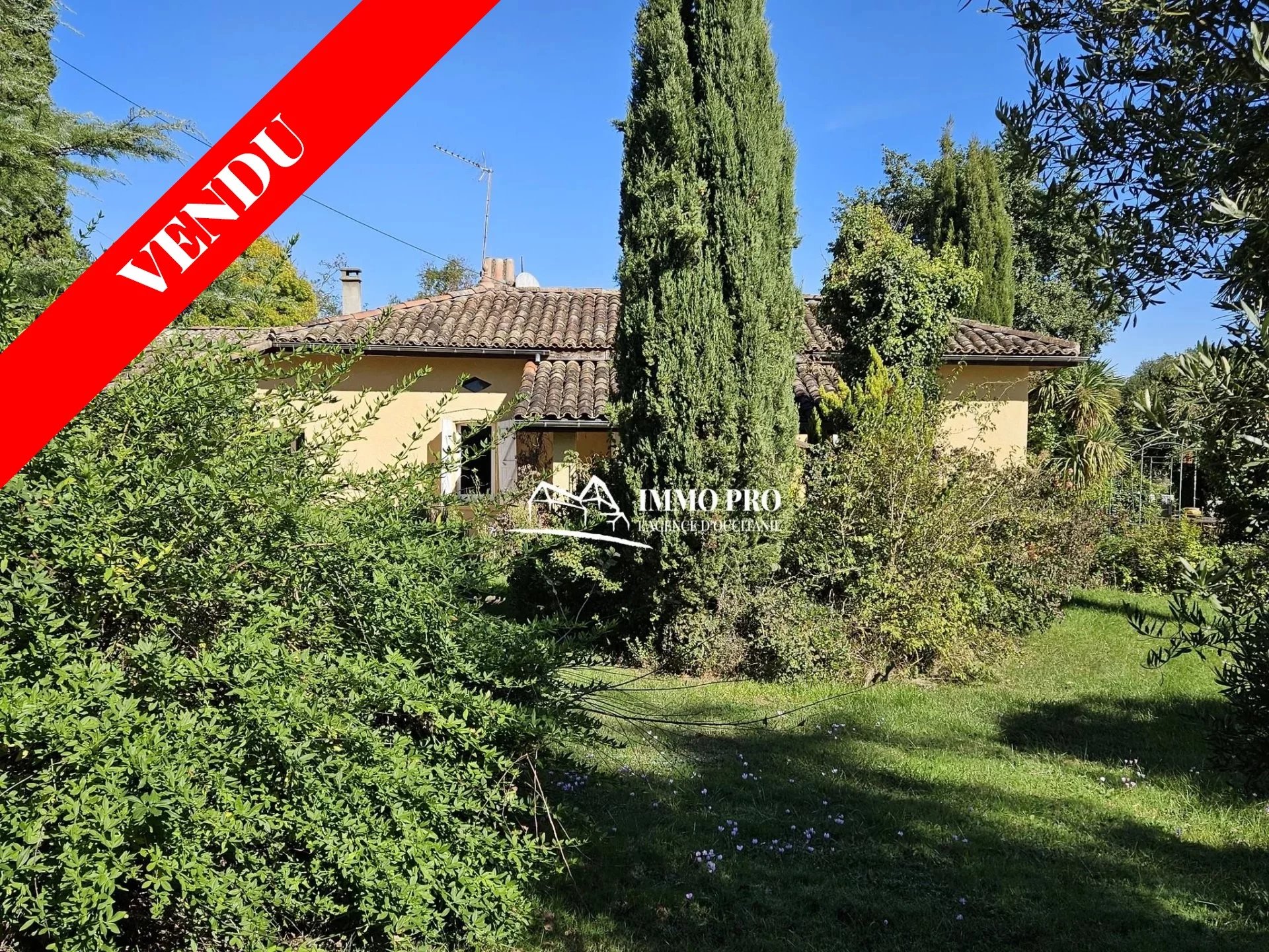 4cdd7b7d823aaa4f5f94ebc37060808c_47f550f83d_1920-original-67919