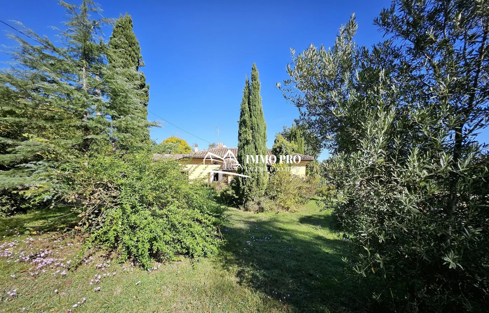 ac83ae02effdb48c12f628b72f29c53b_34cf2d8e1b_1920-original-67919