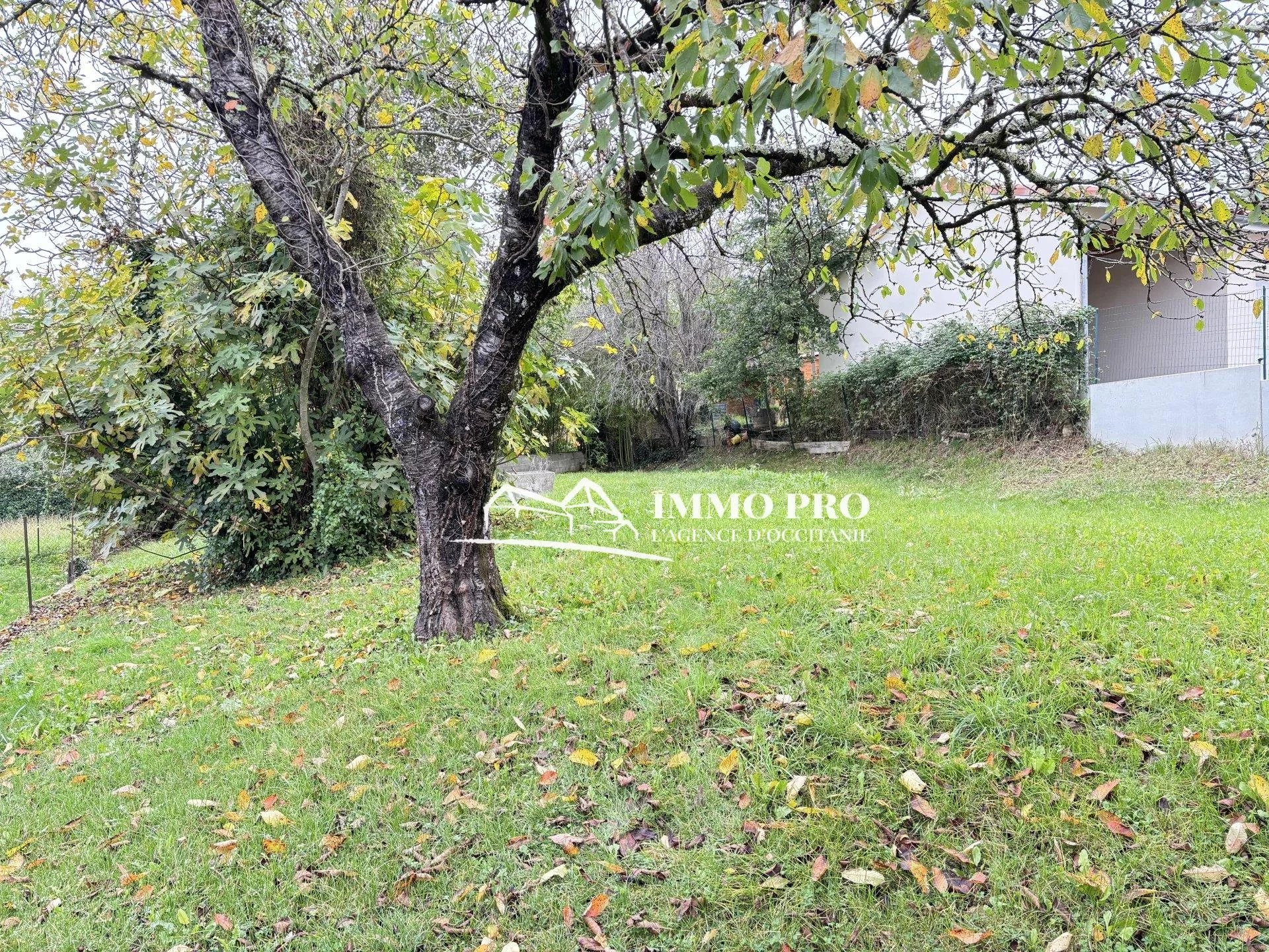 6a0d9c418a5c718d3c0af9a318caa4a8_3f6fc83f0f_1920-original-67765