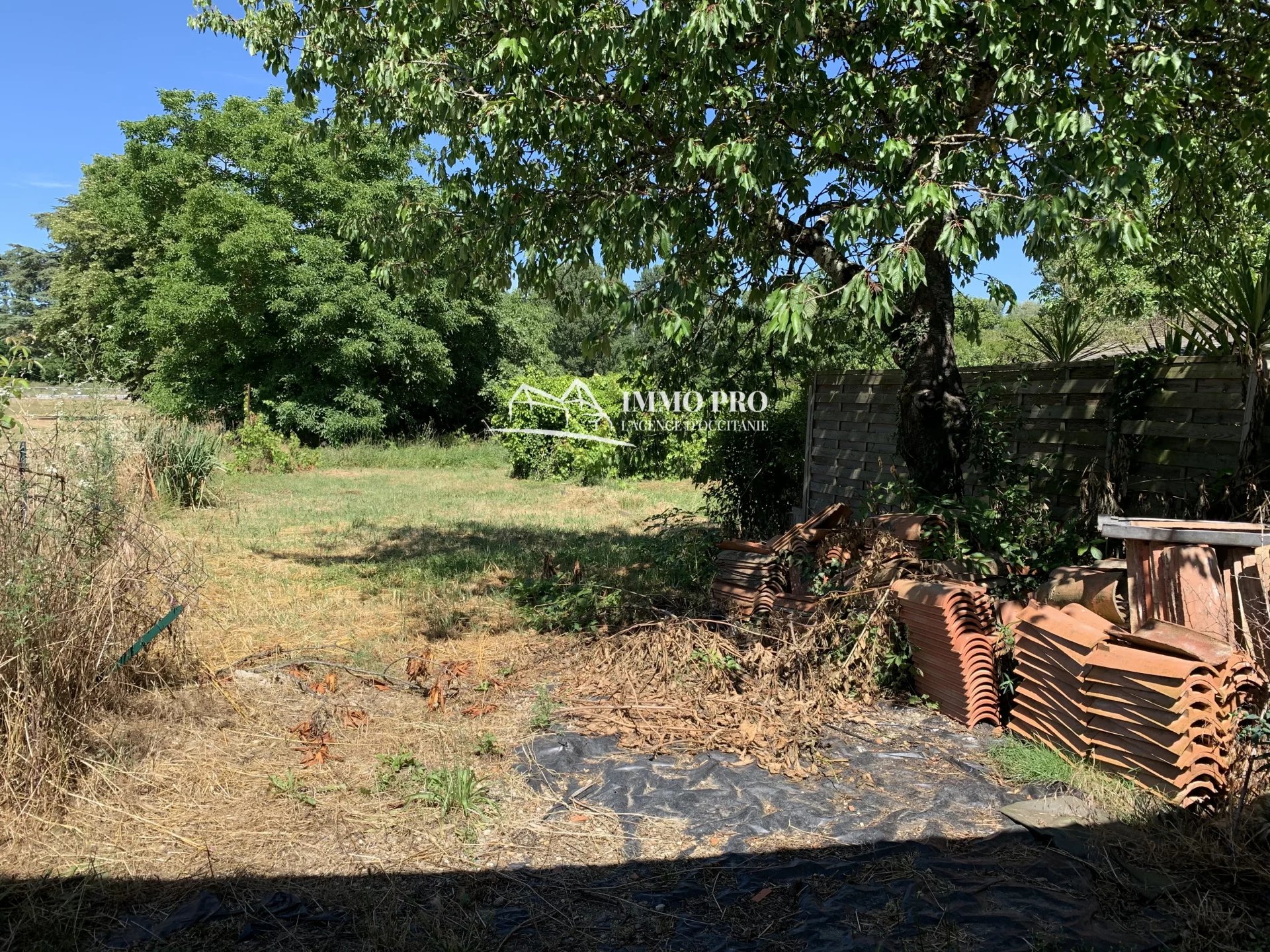 c5181bf9f3cfbf3b623e046fceb9f357_9c29c20a01_1920-original-68471