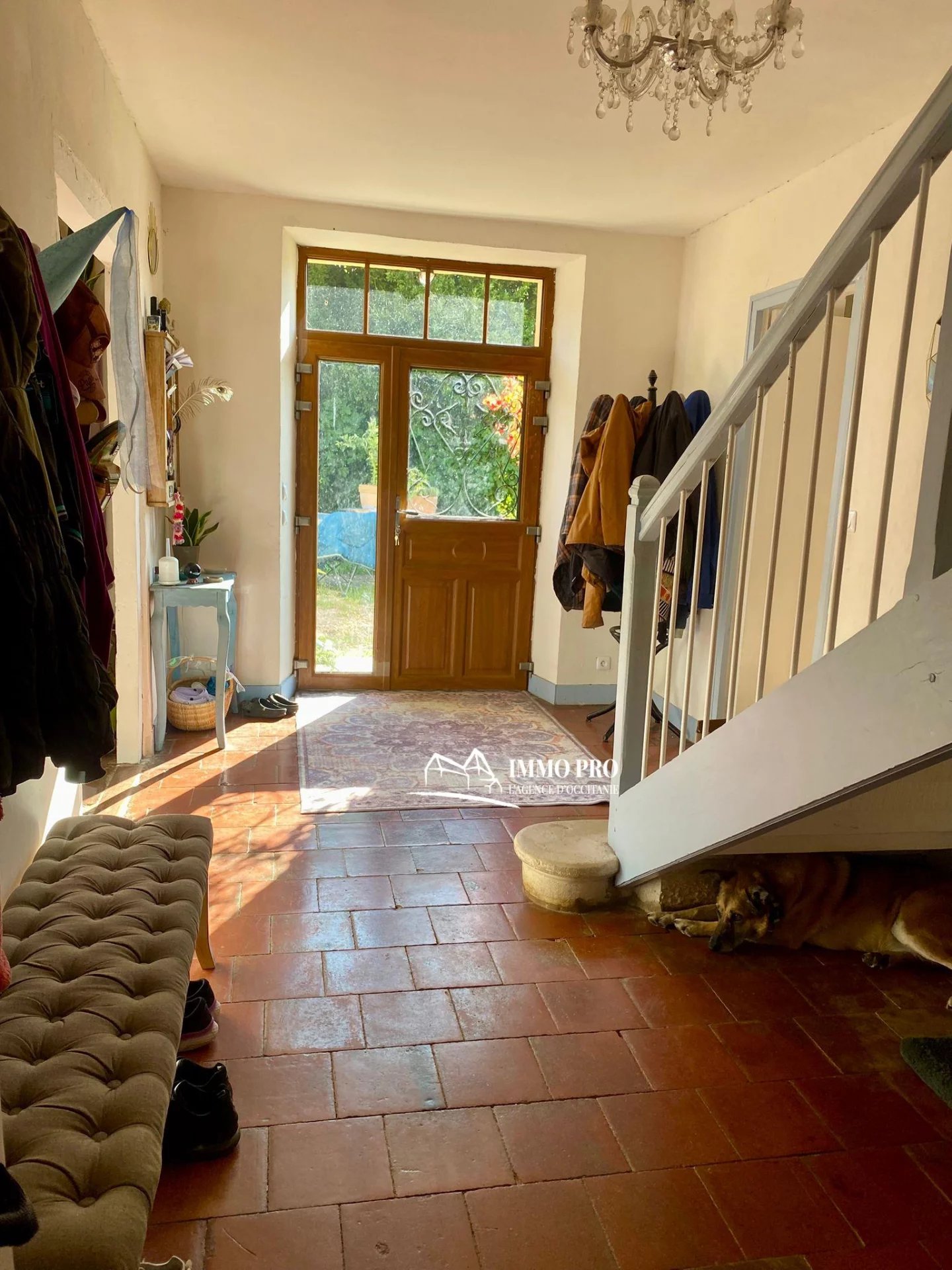 5e8c6b32b1c11f533f0edf13894a0e22_9623ccbb72_1920-original-68881