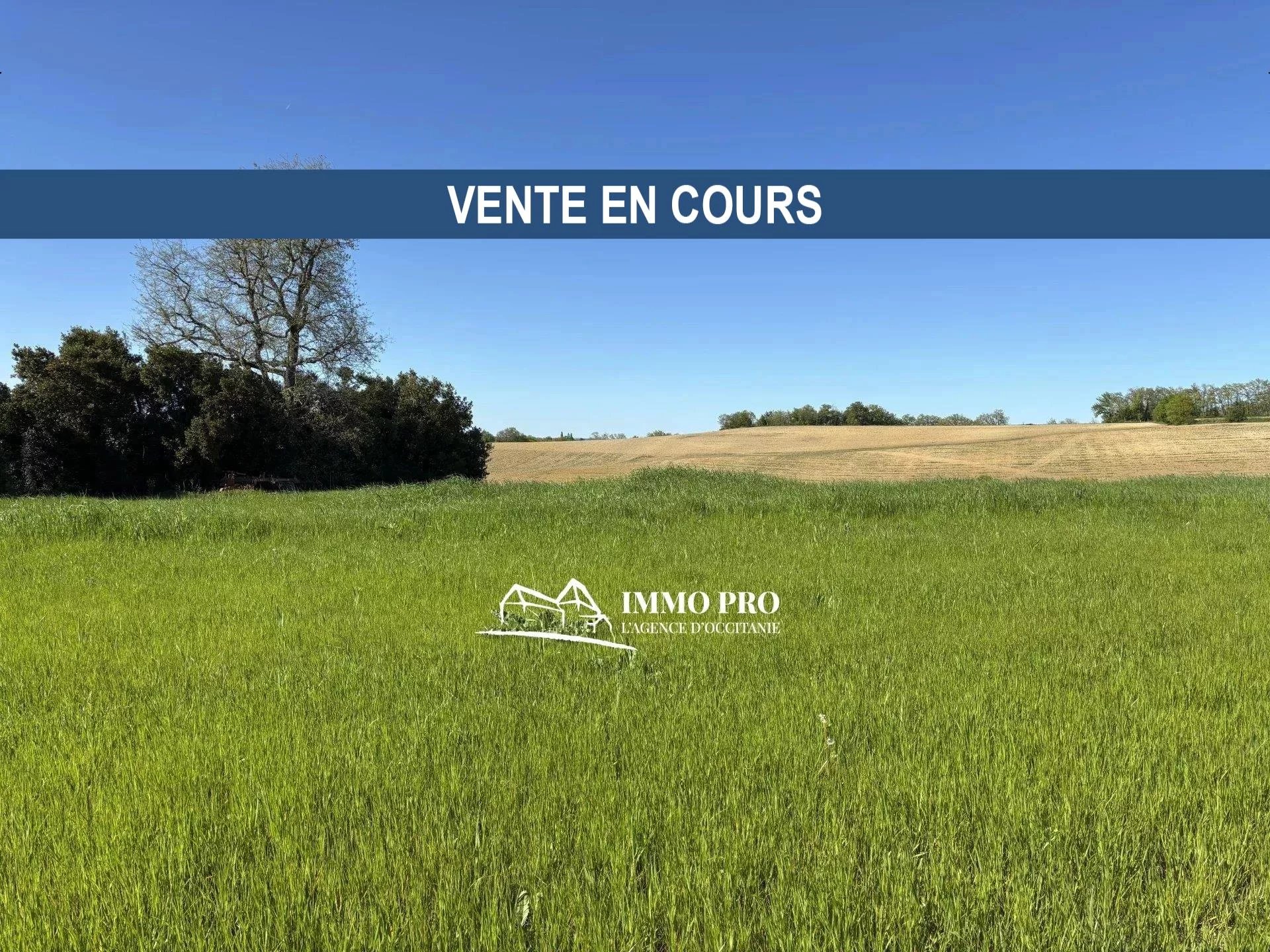 7ab1300aec669ca4132dec616be451b8_c9f6409198_1920-original-68151