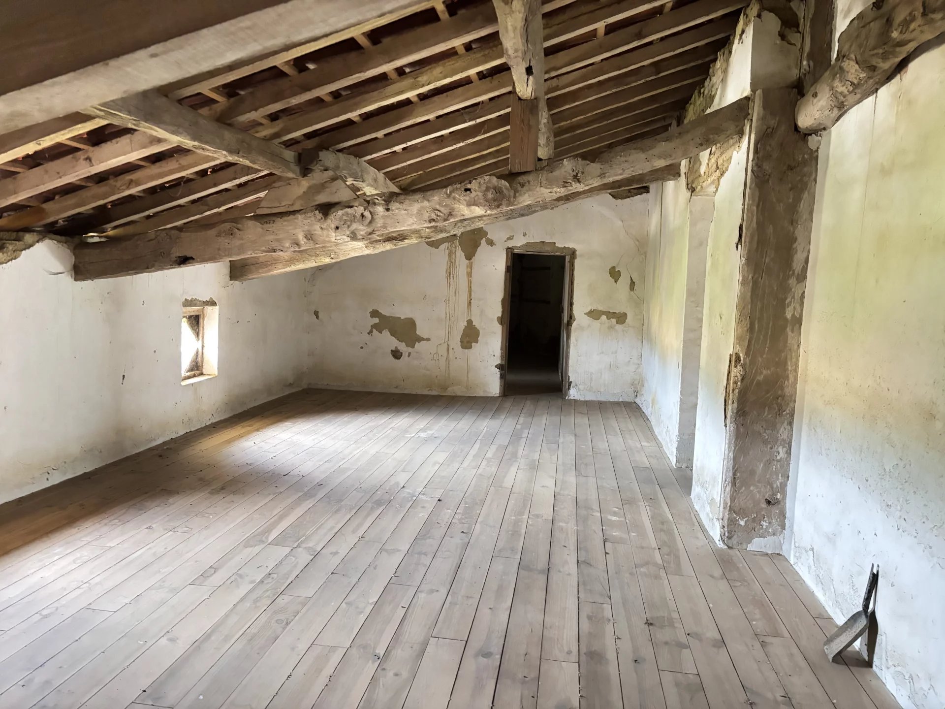 d37ebc5bdfaa66ef1023dac7256d693e_3e1ee23cb5_1920-original-69749