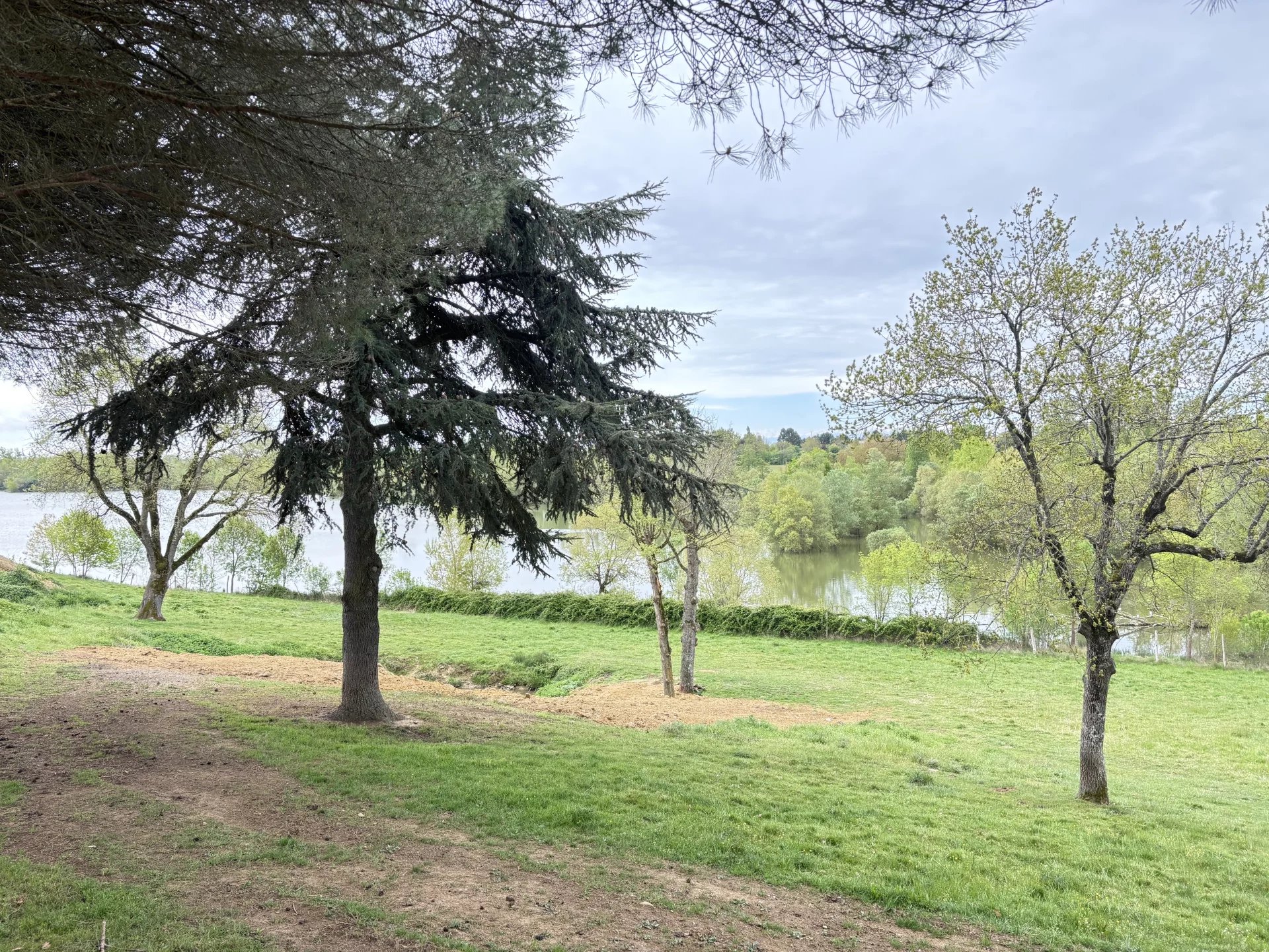 f536b3e3e0ef042c58ac90ba9efd13f6_b40655e2e6_1920-original-68915