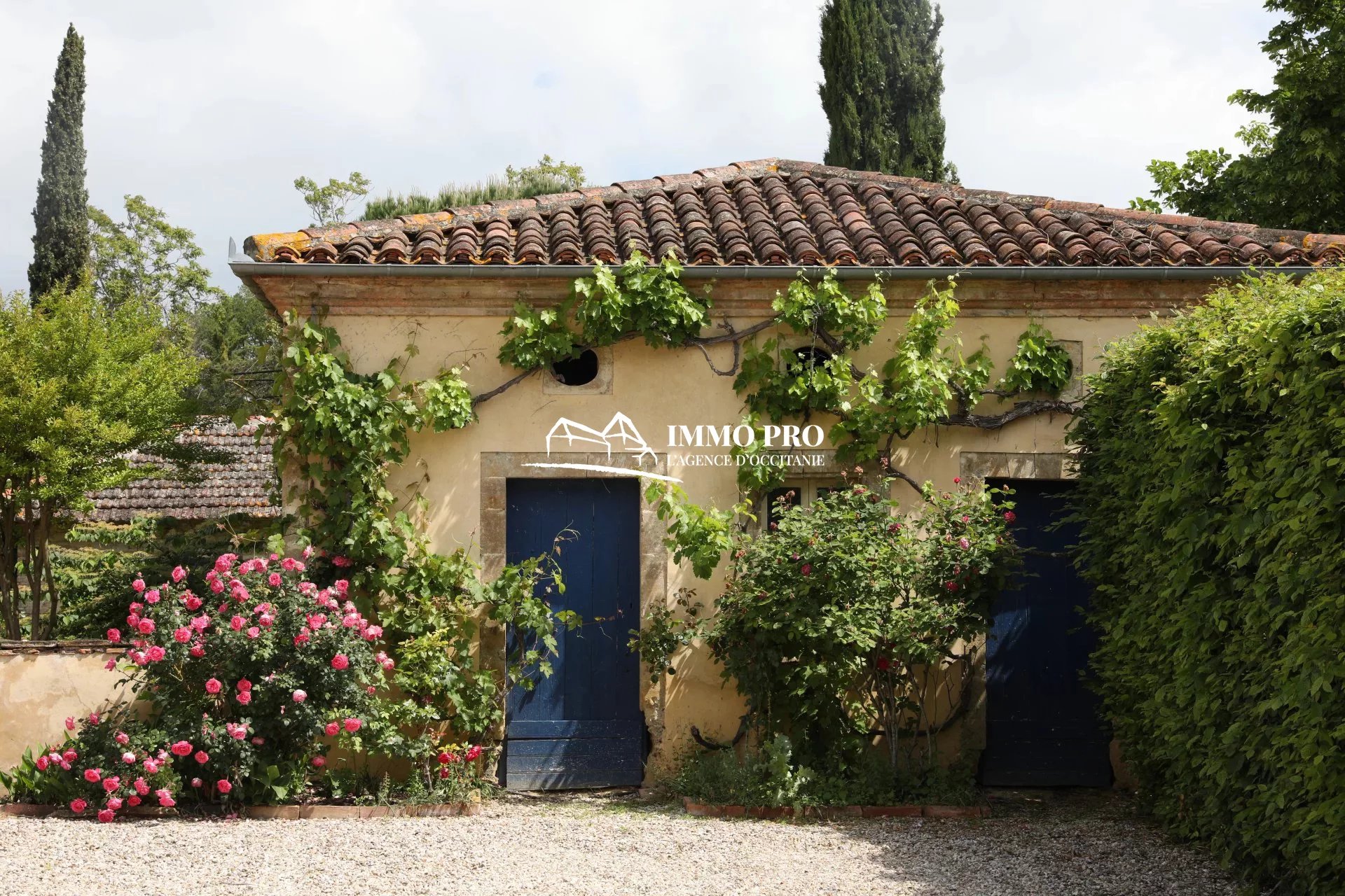 bfd970796b97c8ab0fe659d82a57b5dd_fbf6e7c3a4_1920-original-69291