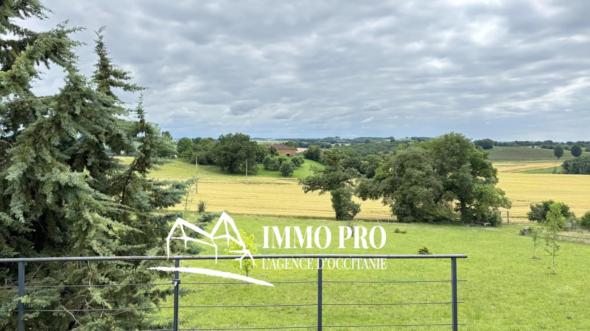 746d60af48f96517c751d249c34bd1b6_c0c35a59c8_1920-original-68941