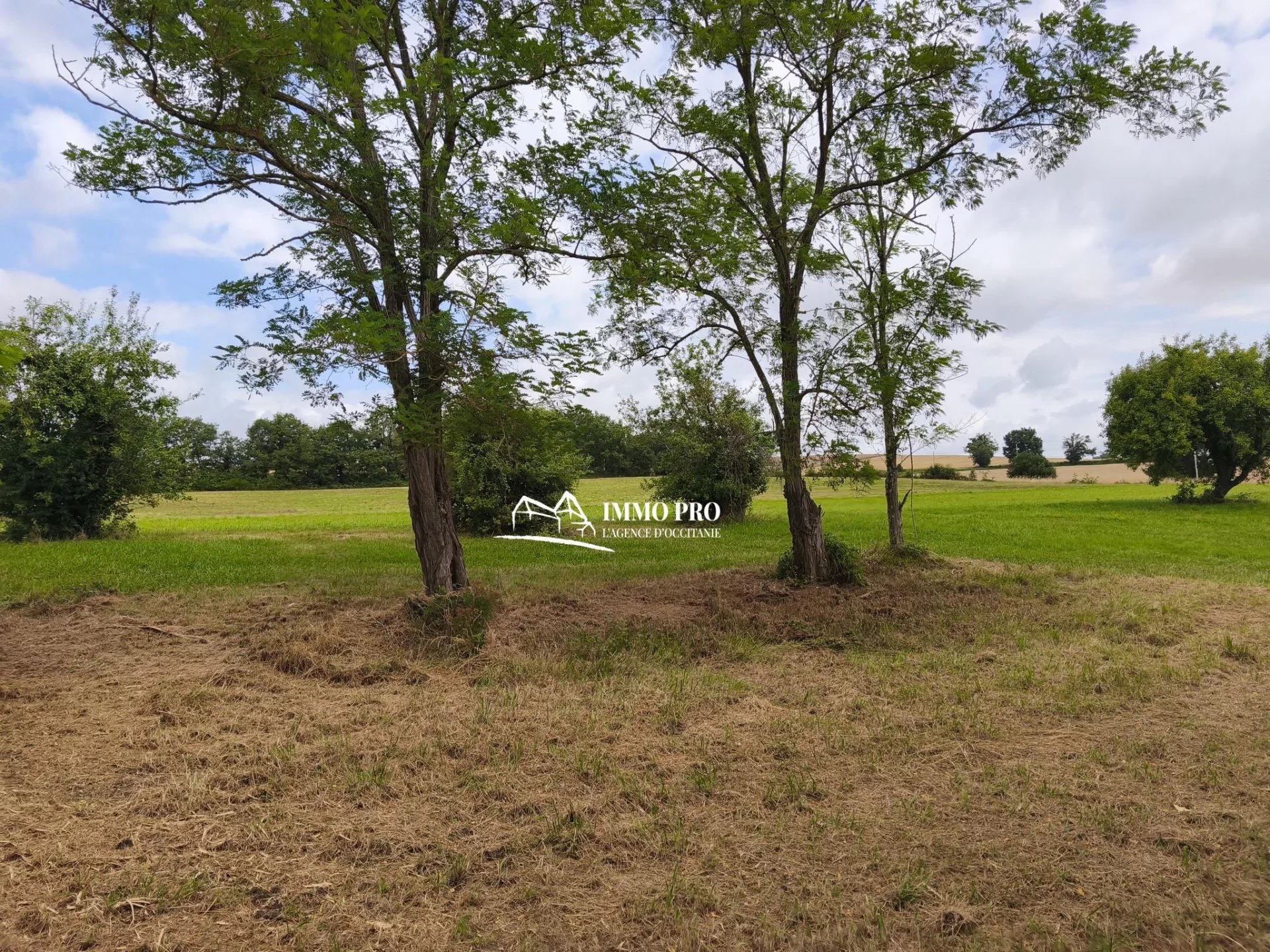 51864ca046502774aa178e728607686c_67aa4ba40d_1920-original-69491