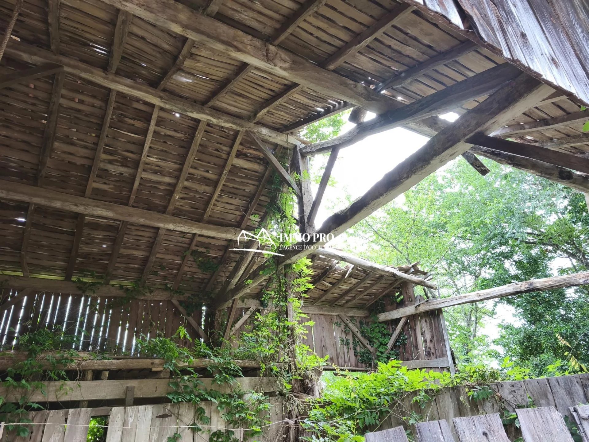 5dbf3e86c3386c685ae50bc98a2a6cd1_b3a9f8685c_1920-original-69491