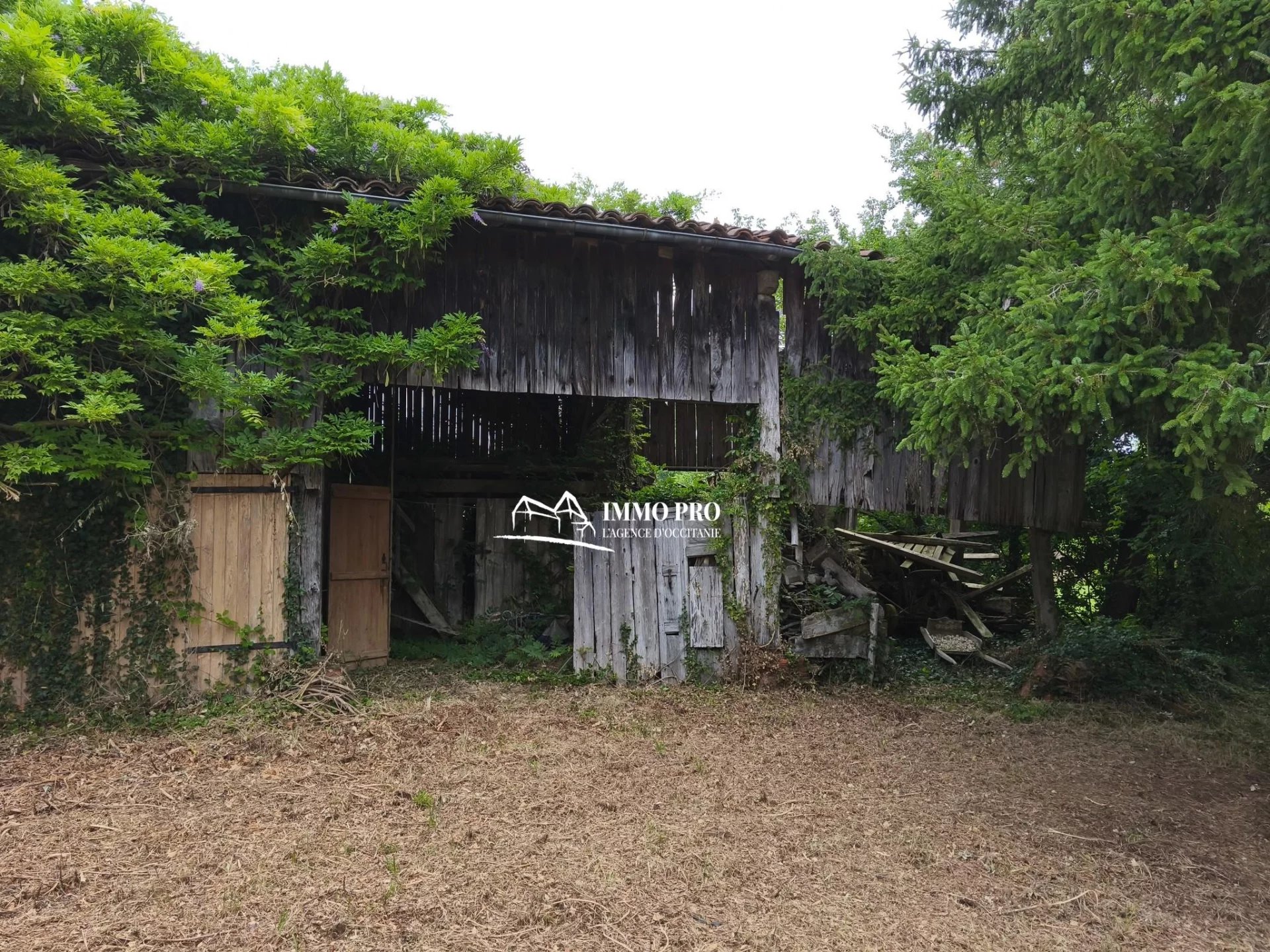 d2471d4192e20ddd1e7fe356d088d746_14654b5cff_1920-original-69491