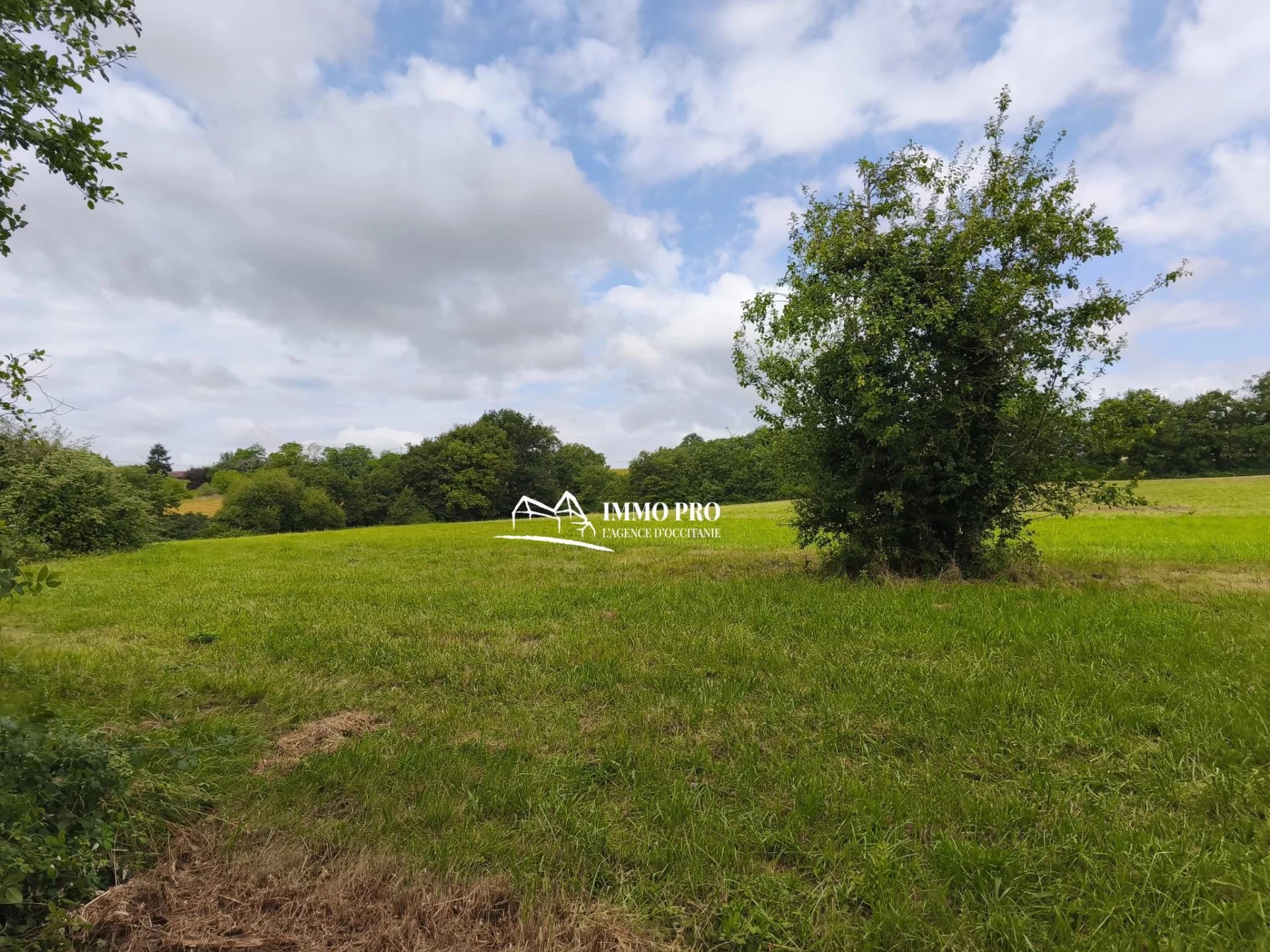 da4455915203e640506472f9e1842807_c95892d8e7_1920-original-69491