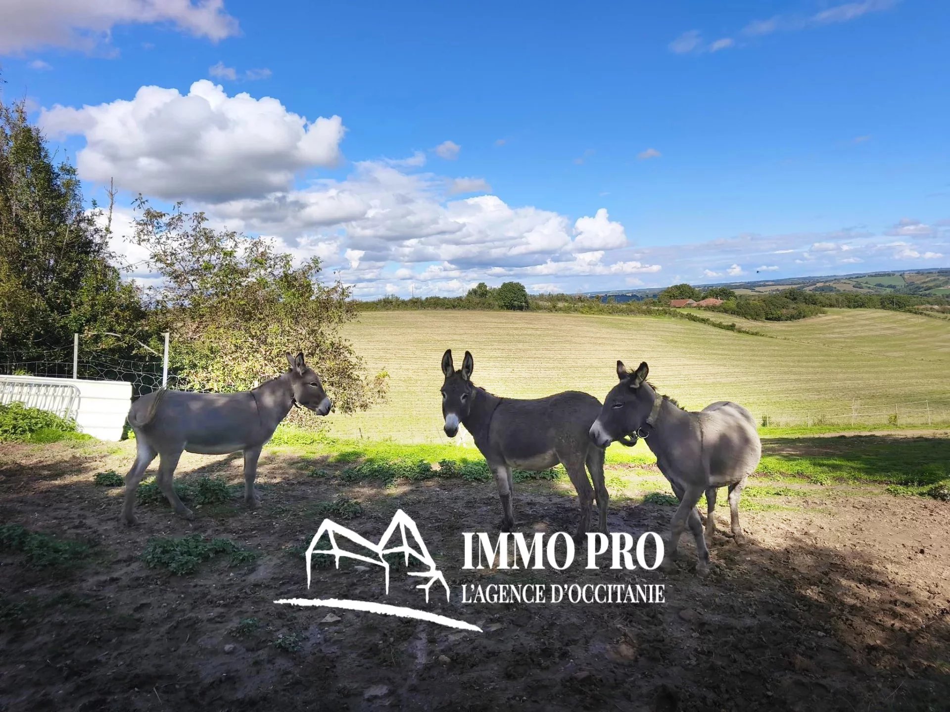 9d36a158c42ea3fed6c10b4a2ef758de_e6f34f7b16_1920-original-69911