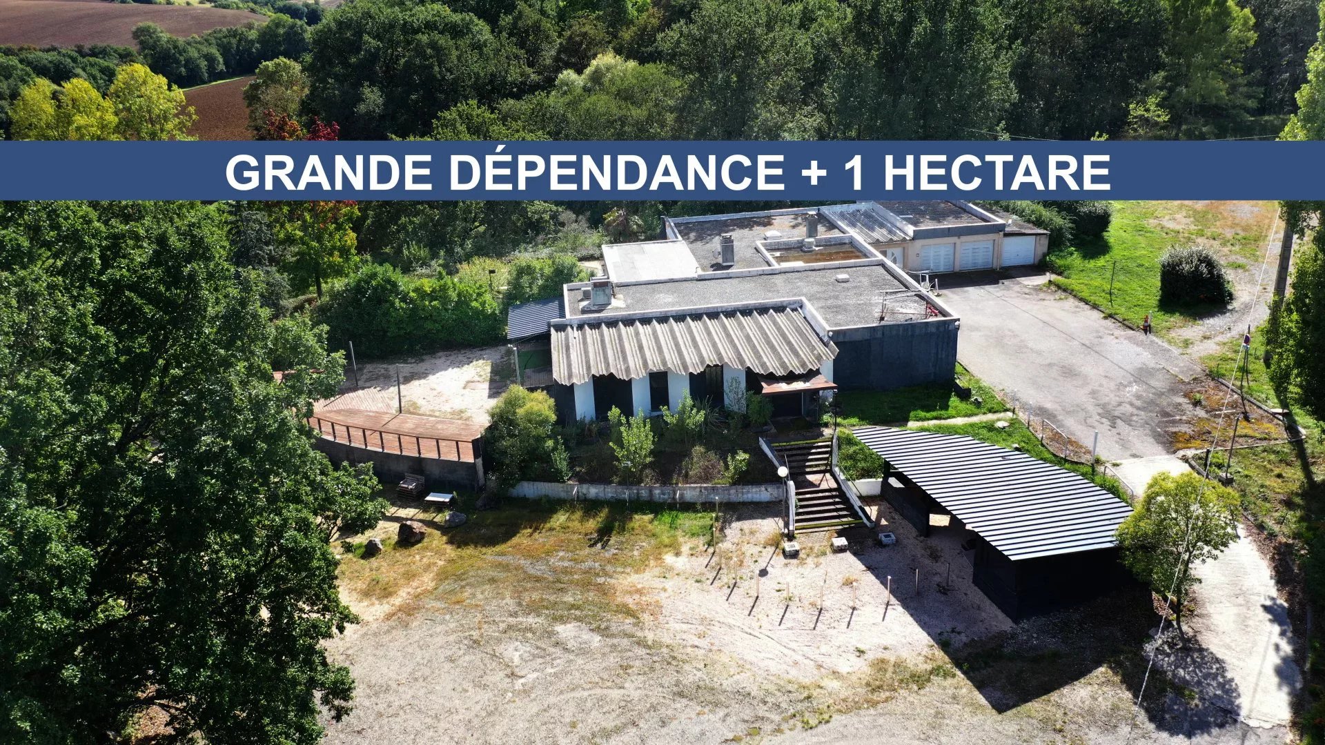 b1d91a705c168a162d46e649082bea98_c6f393f794_1920-original-69061