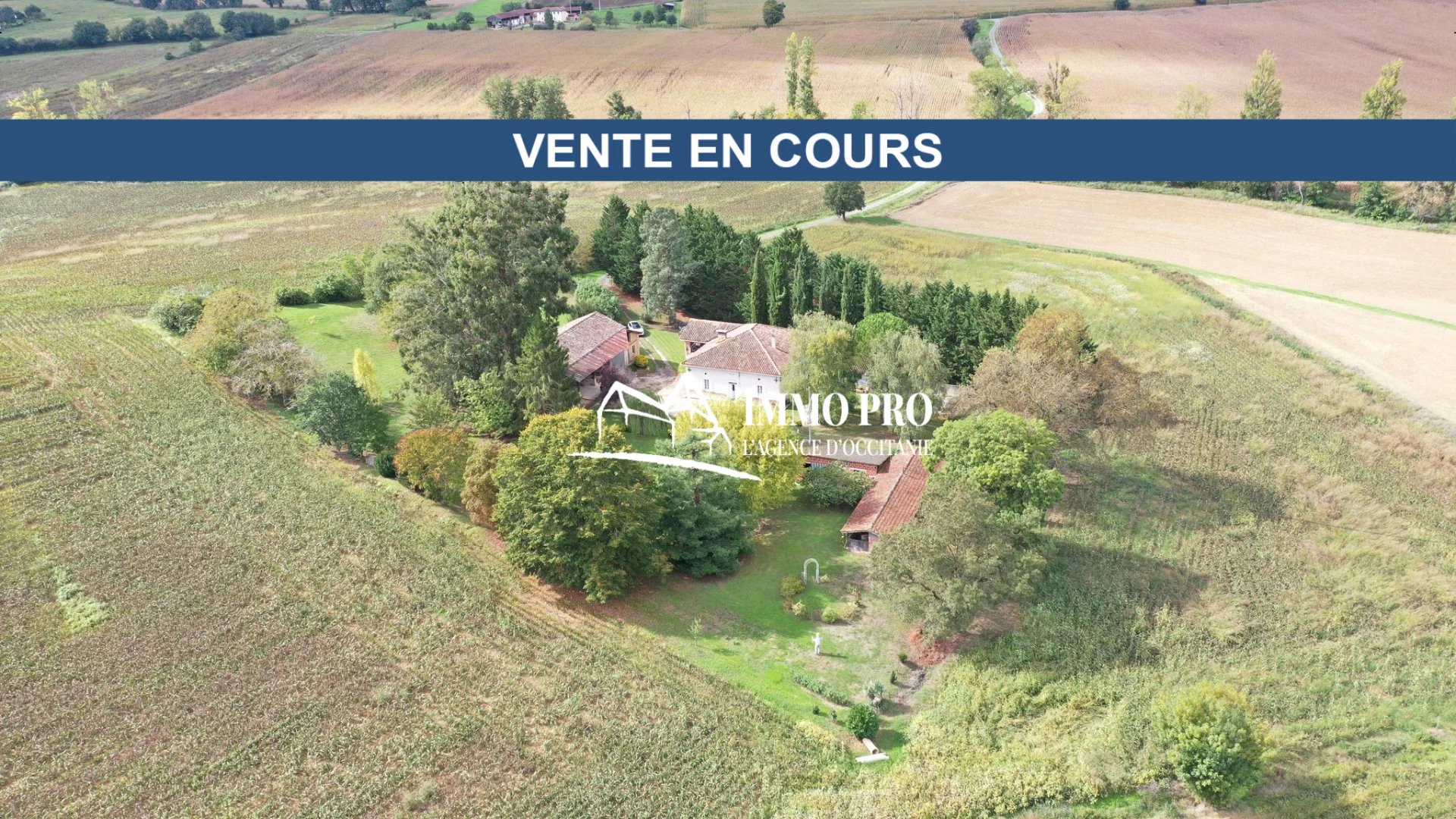 f5e934cea8d06dd4db095fafd52d7cf9_ec9d367ad5_1920-original-70042