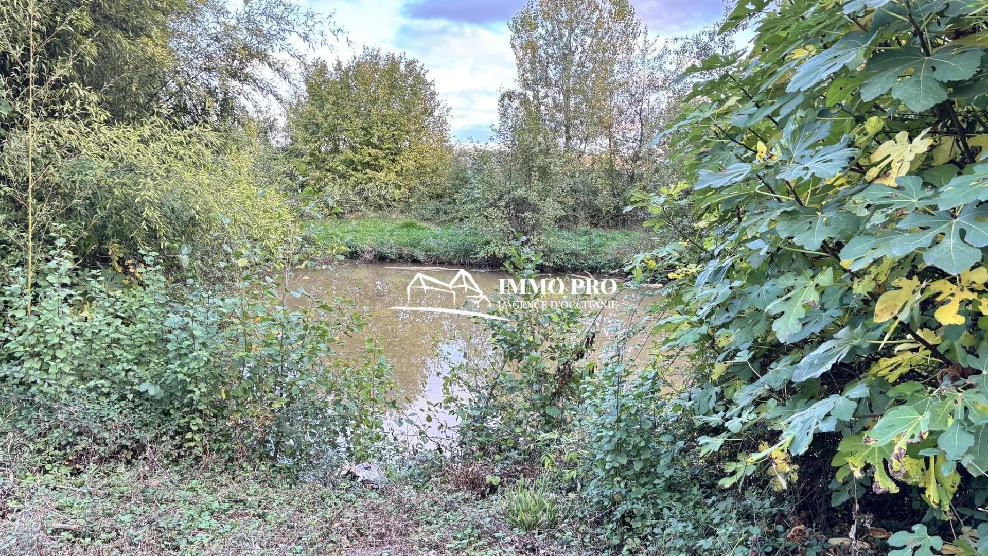 f8f61f822244727766a6484473f4b58b_6deecc17ea_1920-original-71021